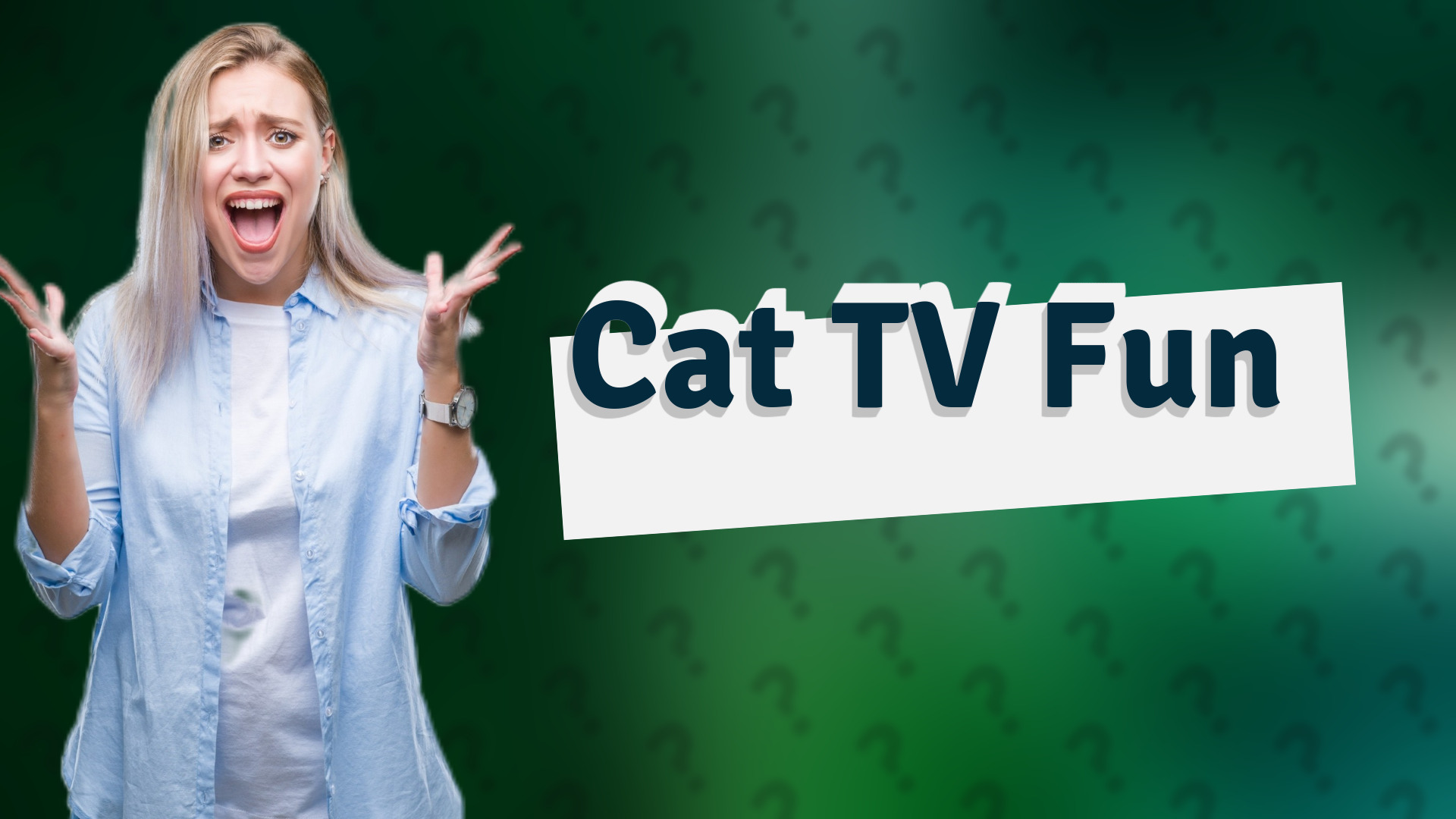 Cat TV Fun