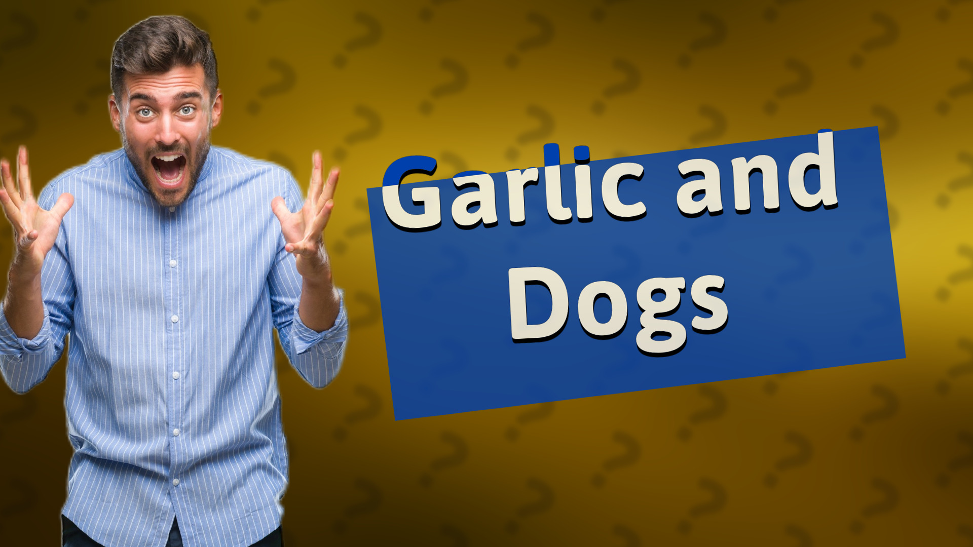 Garlic and Dogs