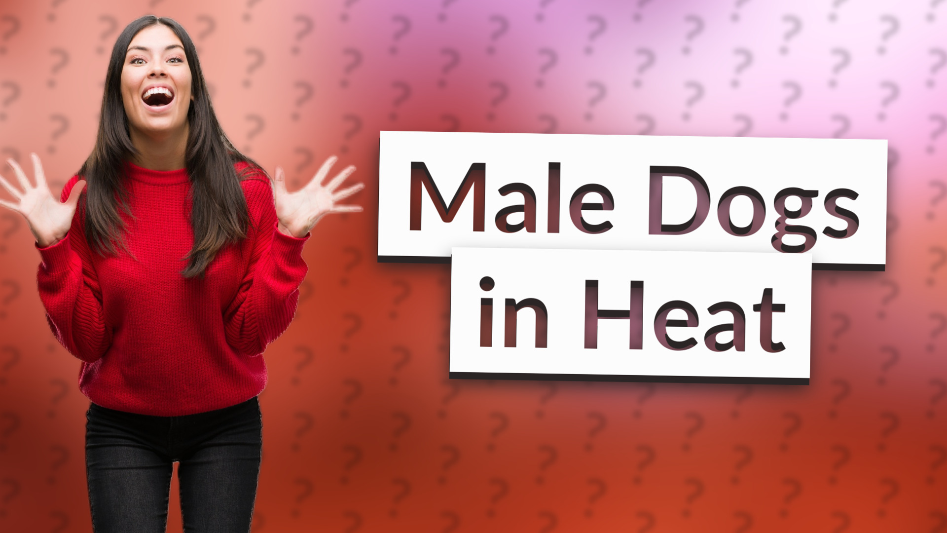 Male Dogs in Heat