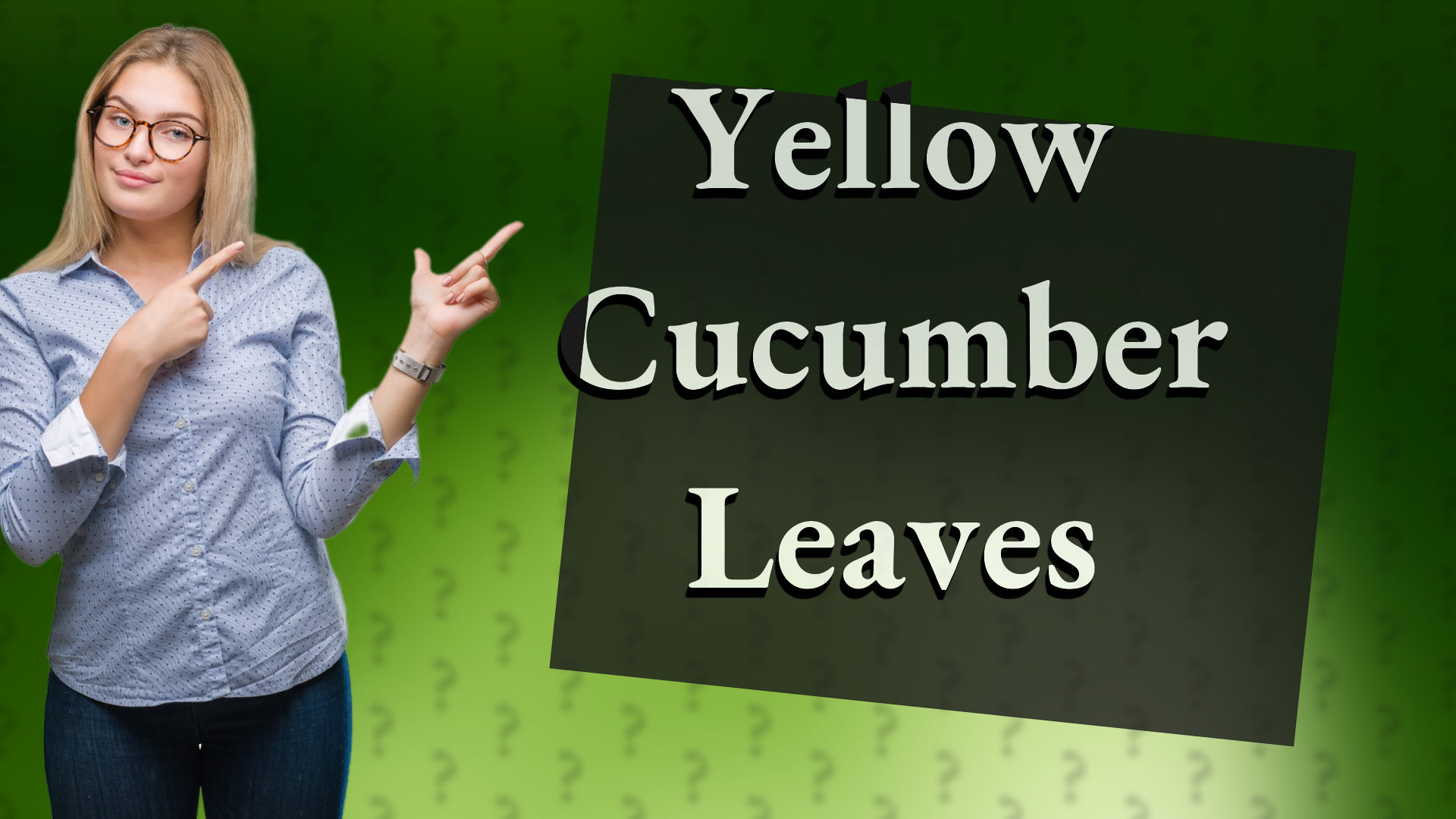 Yellow Cucumber Leaves