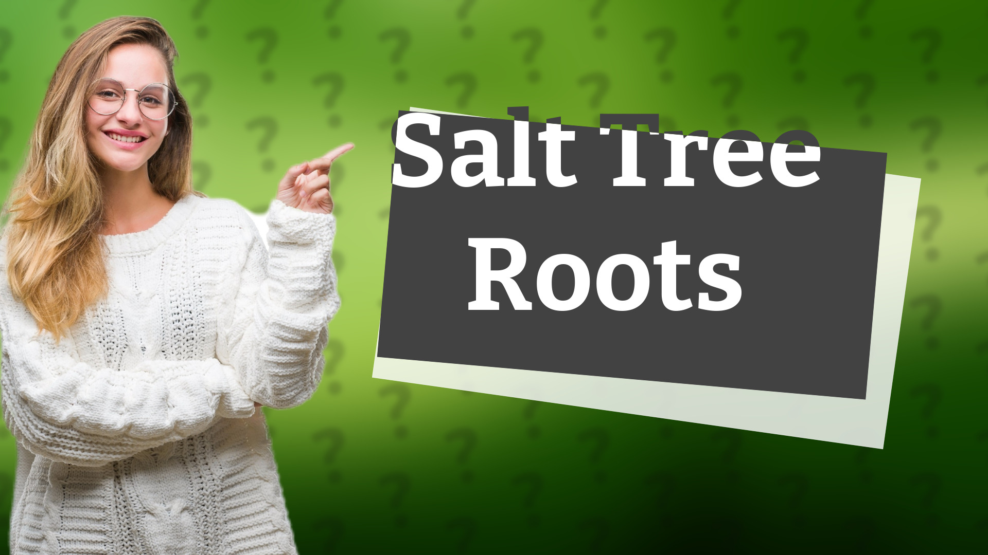 Salt Tree Roots