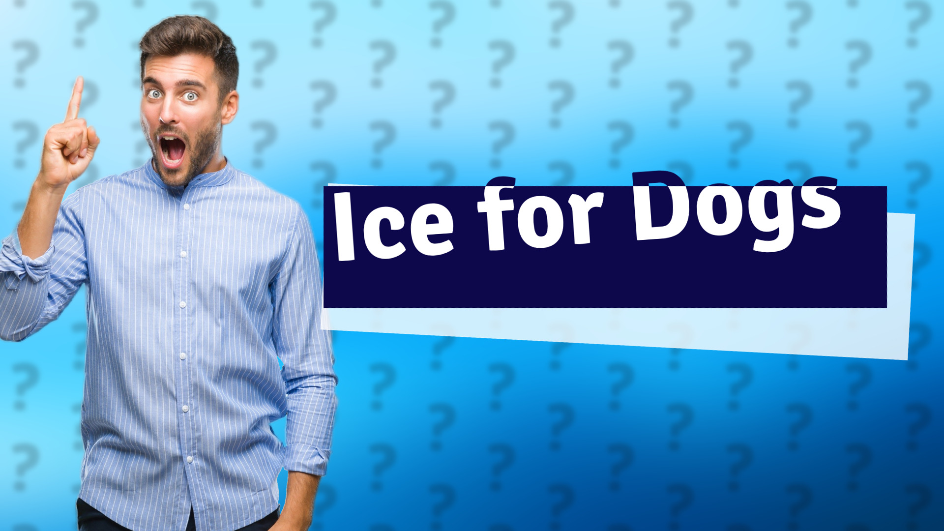 Ice for Dogs