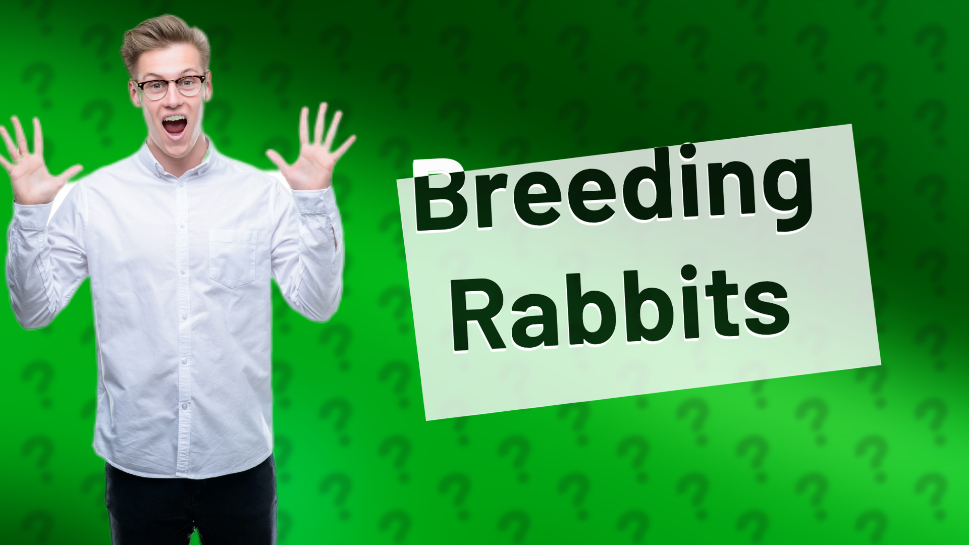Breeding Rabbits