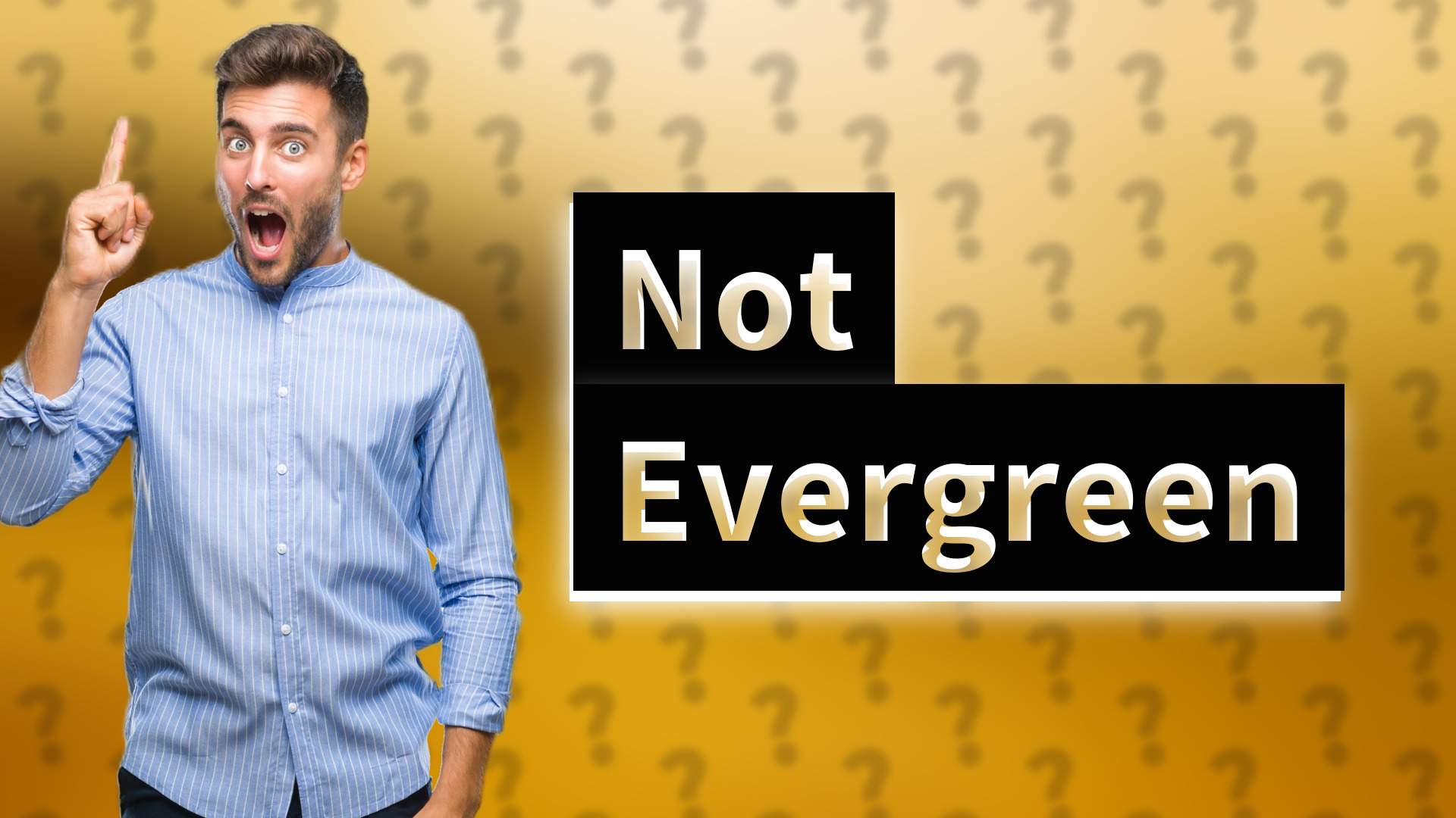 Not Evergreen
