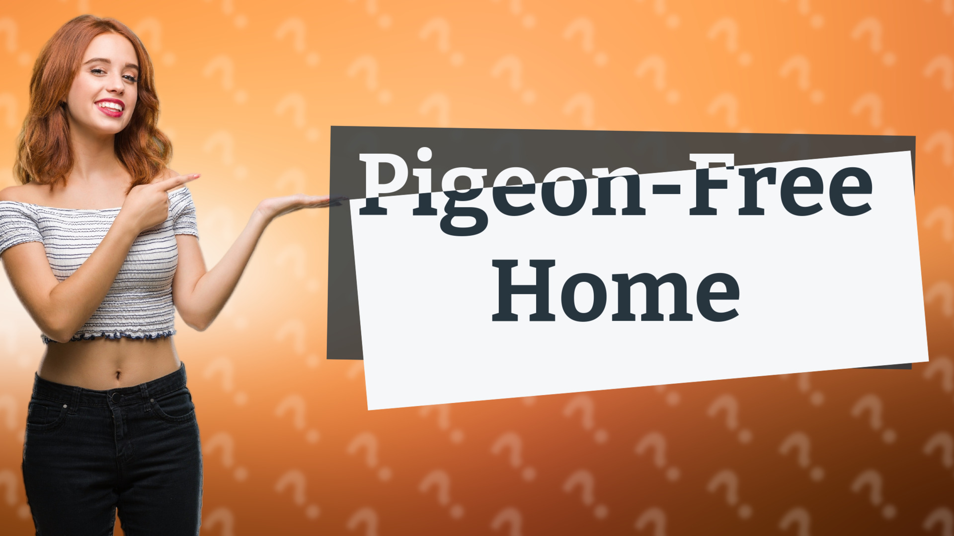 Pigeon-Free Home