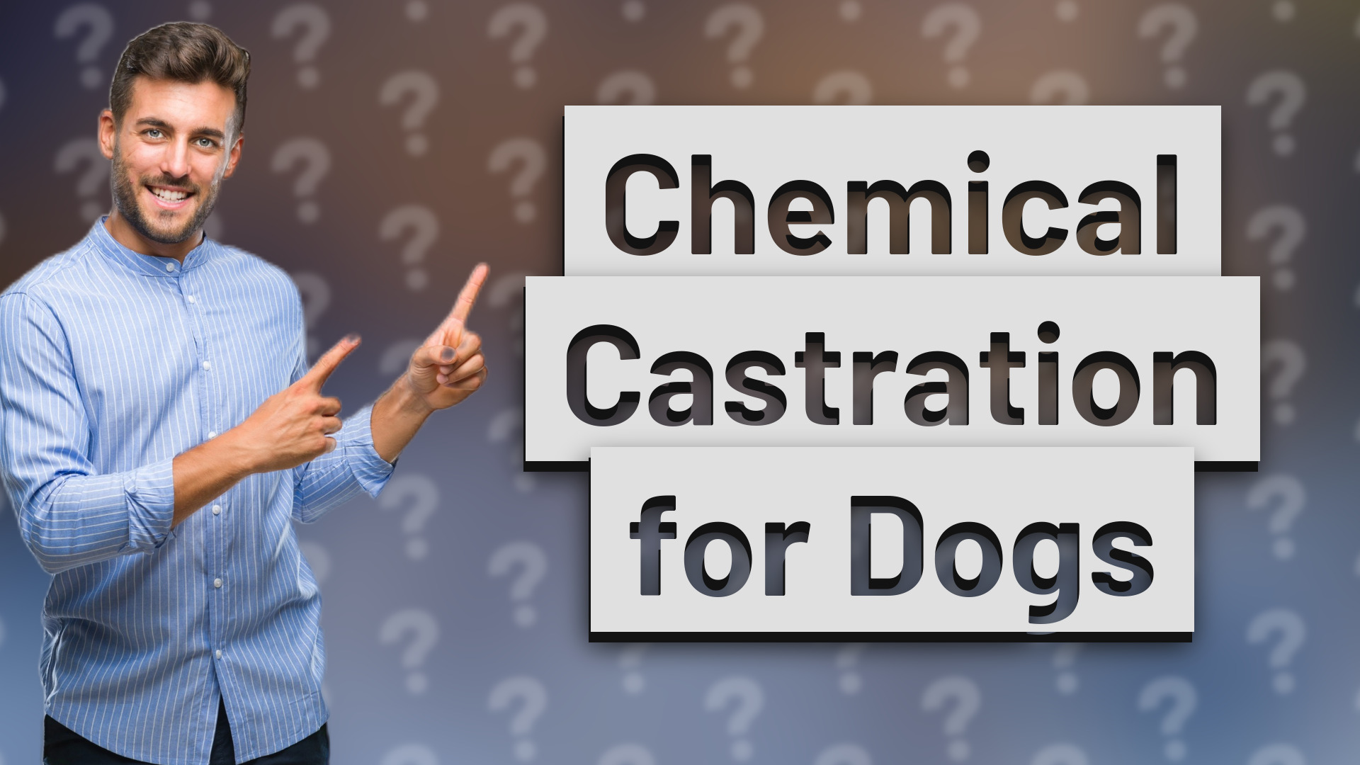 Chemical Castration for Dogs