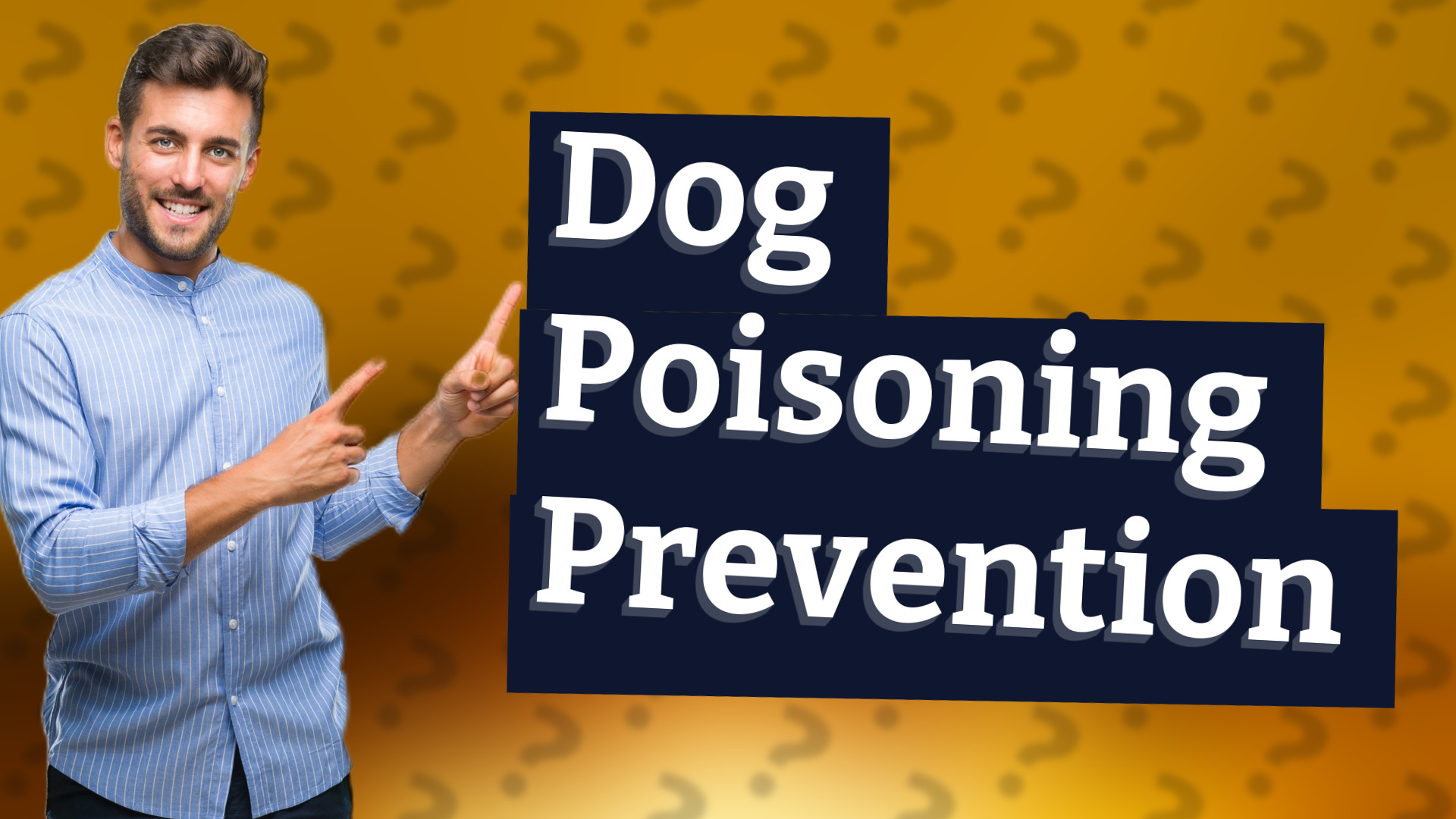 Dog Poisoning Prevention