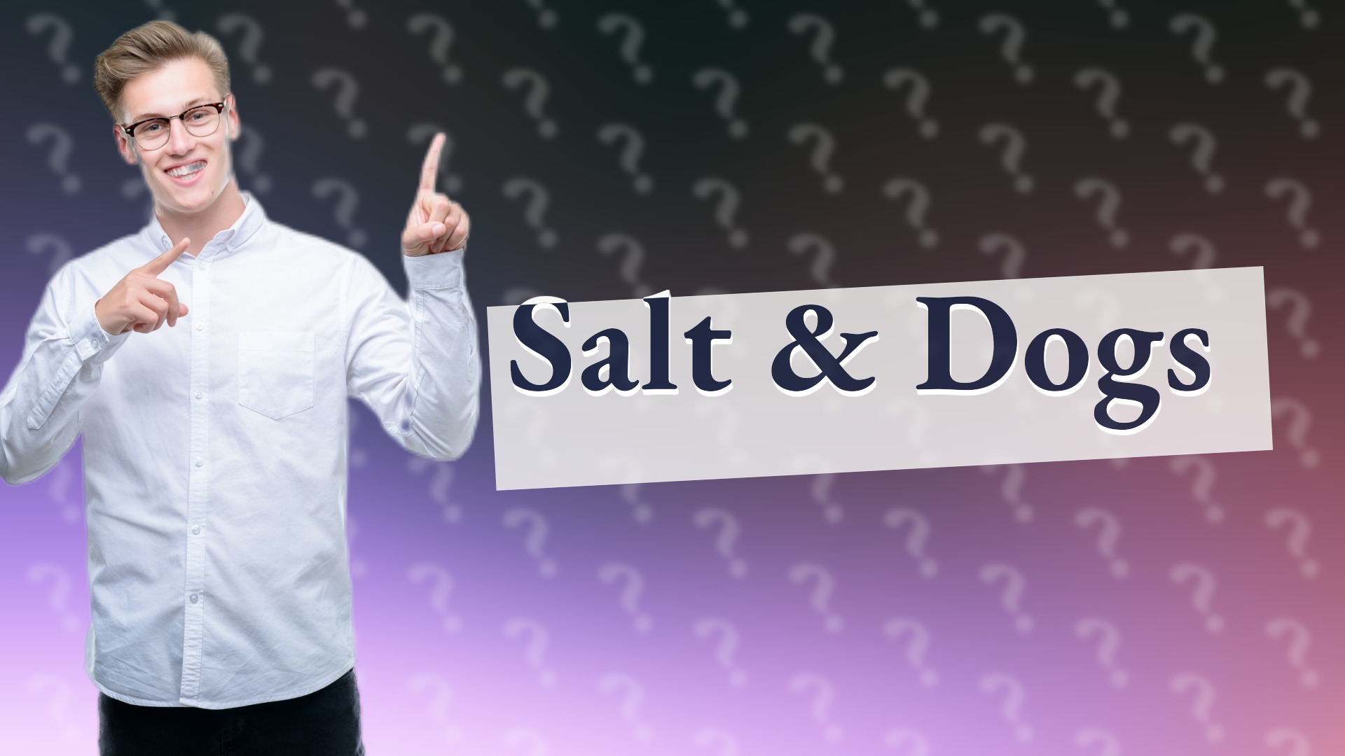 Salt & Dogs
