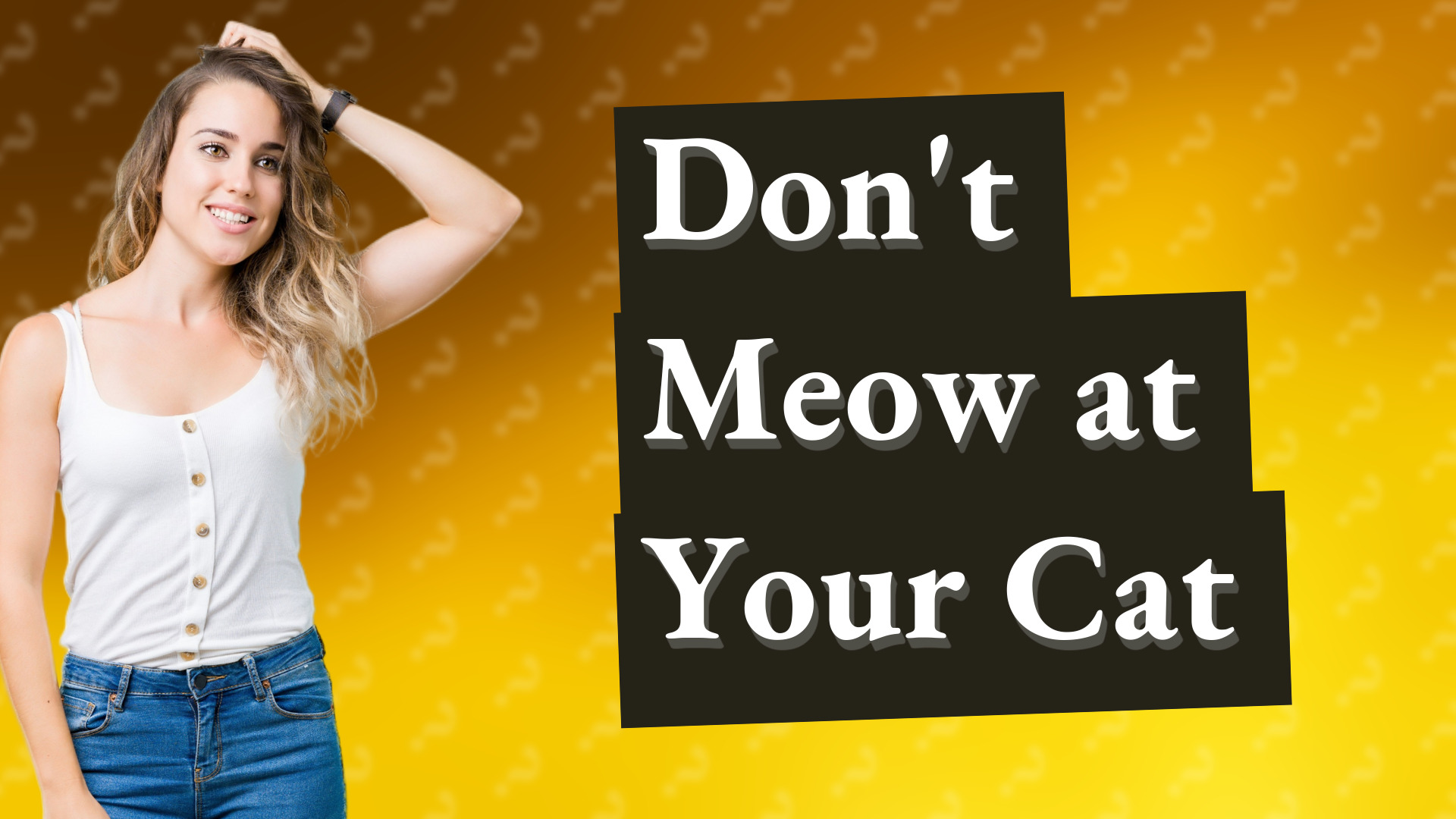 Don't Meow at Your Cat