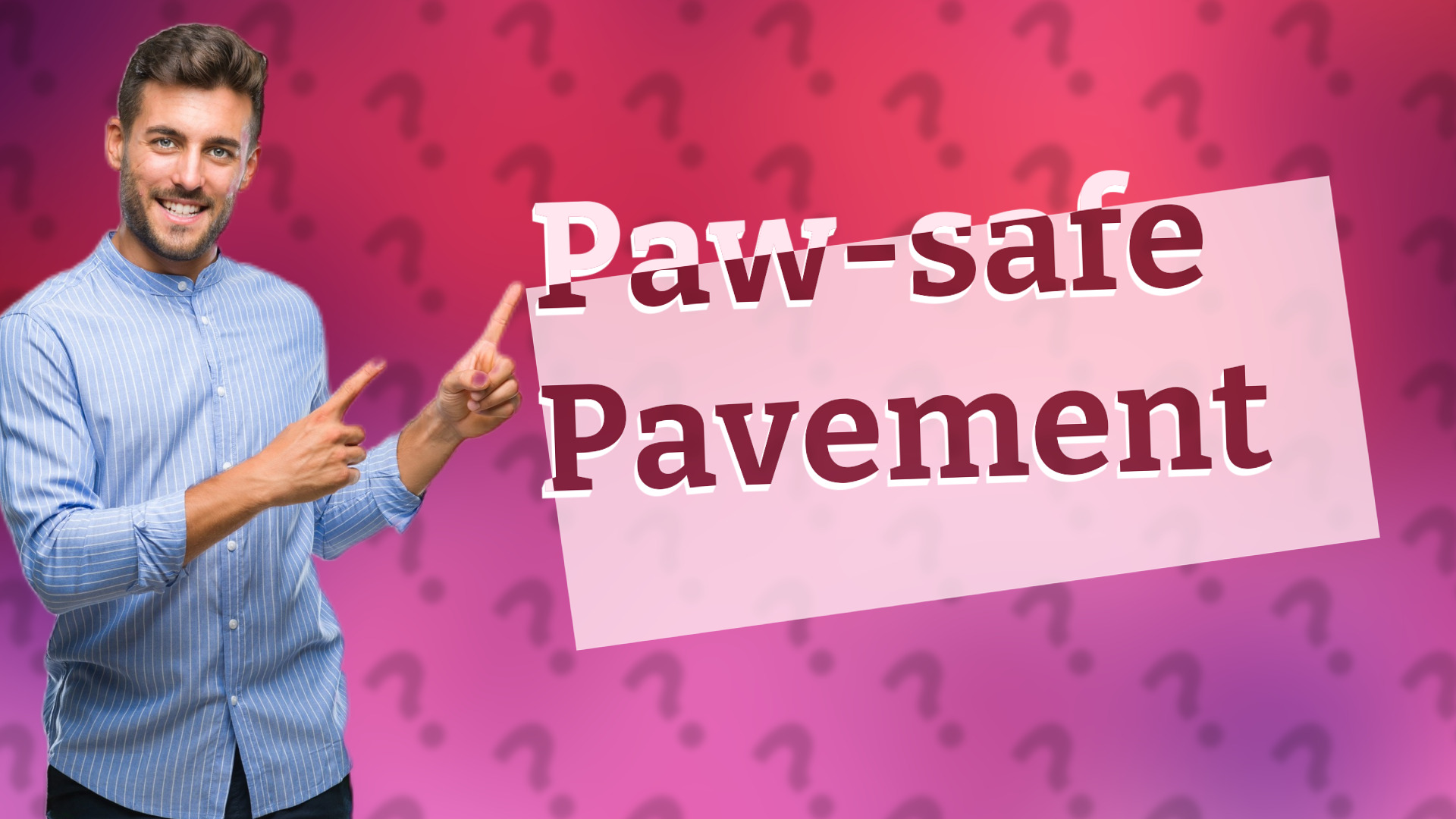 Paw-safe Pavement