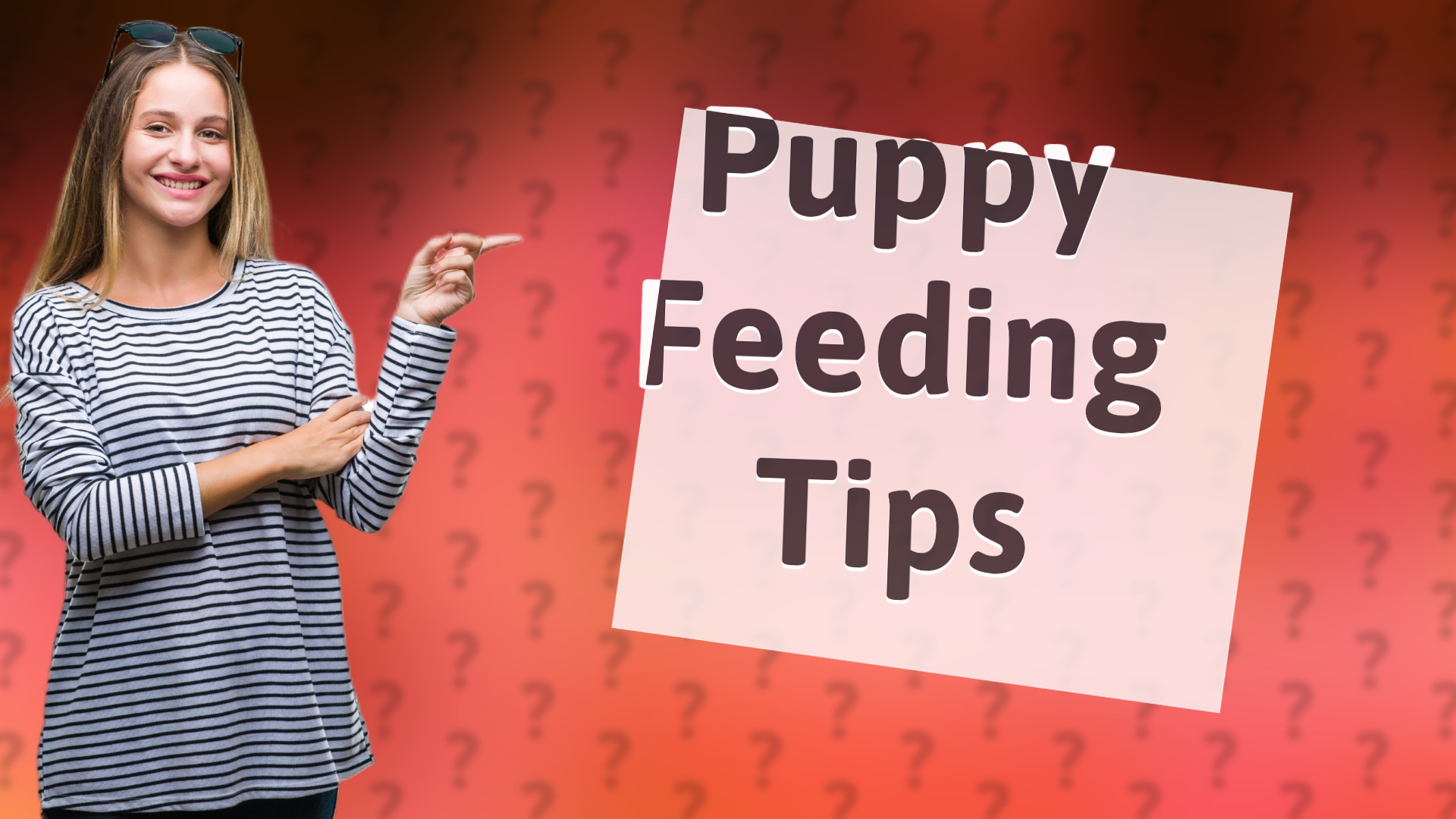 Puppy Feeding Tips