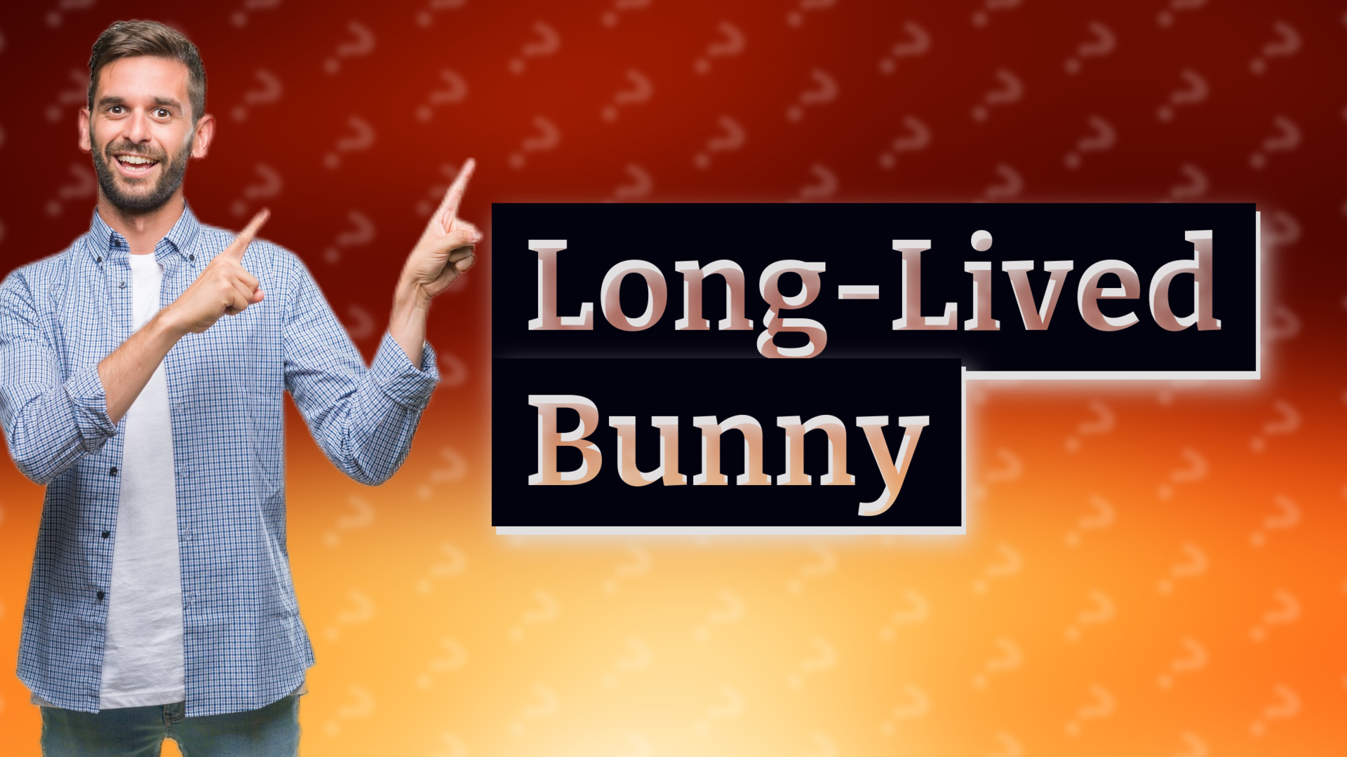 Long-Lived Bunny