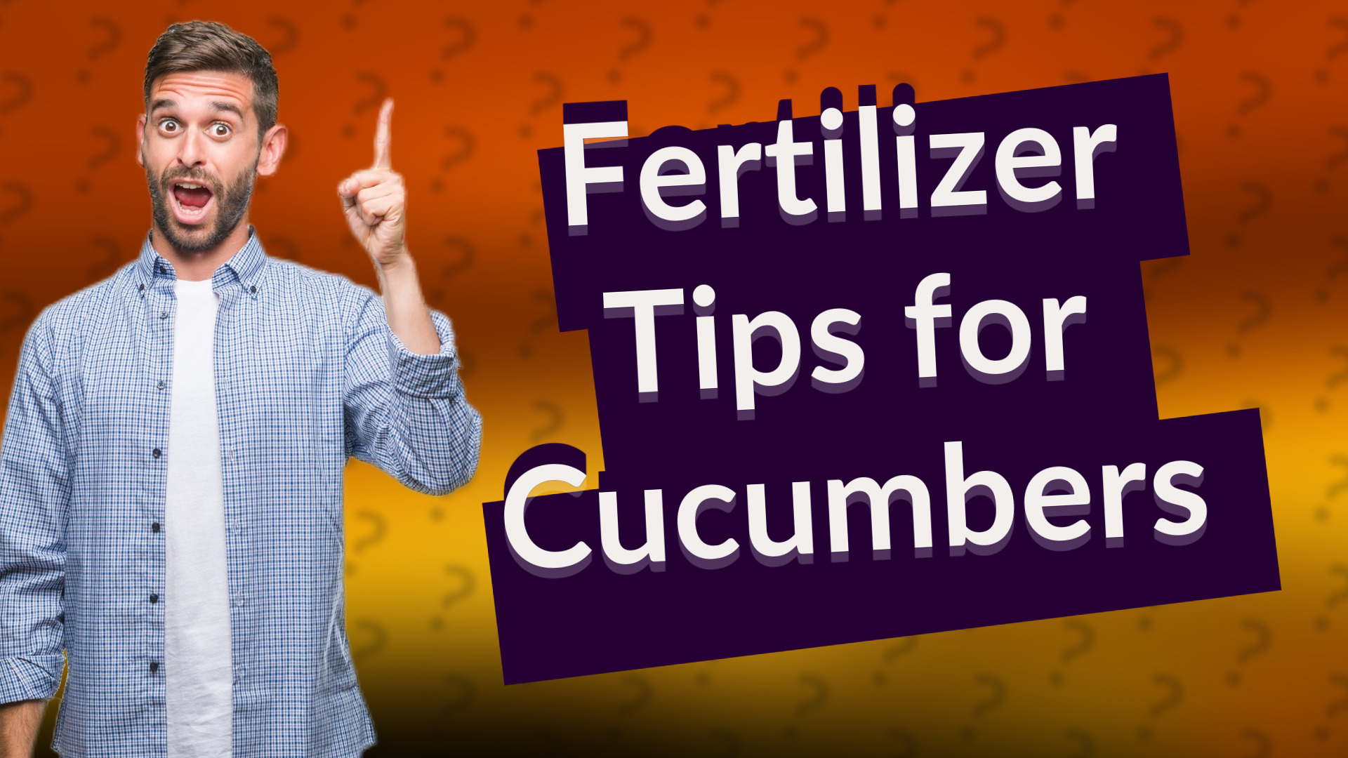 Fertilizer Tips for Cucumbers
