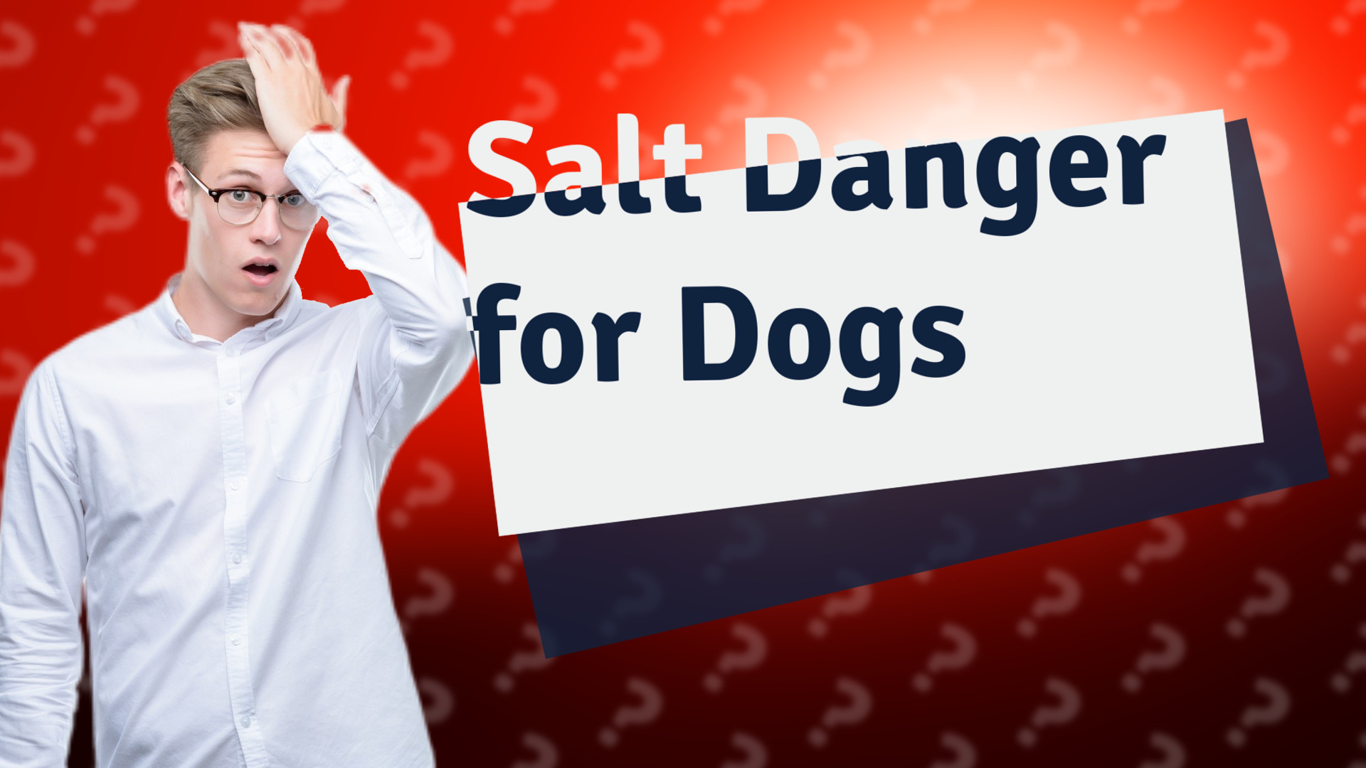 Salt Danger for Dogs