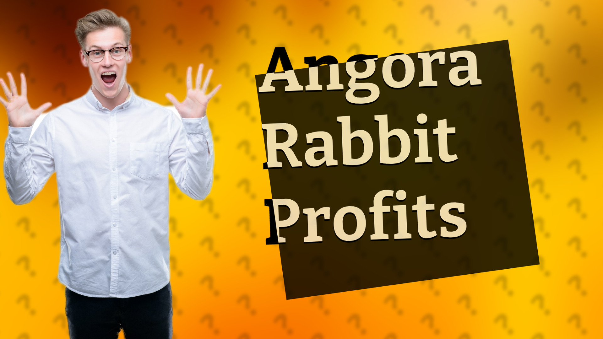 Angora Rabbit Profits