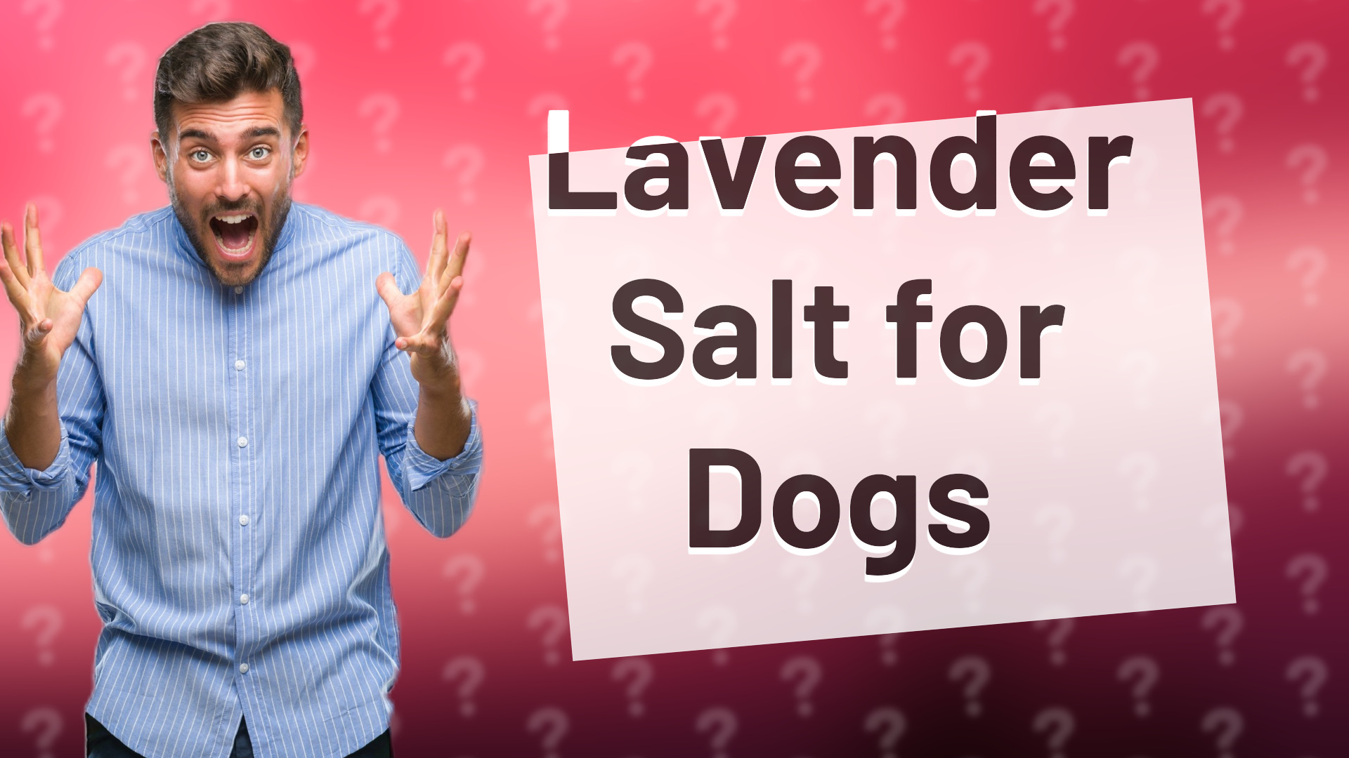Lavender Salt for Dogs