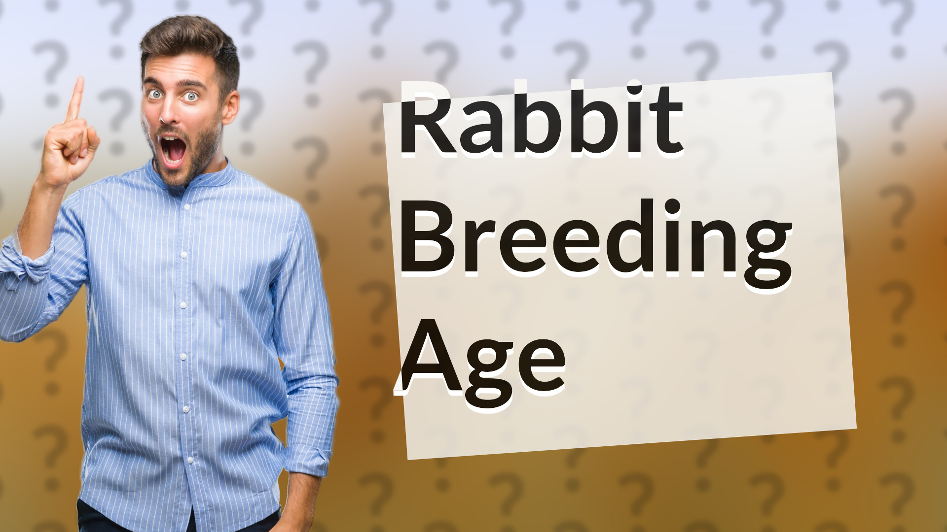 Rabbit Breeding Age