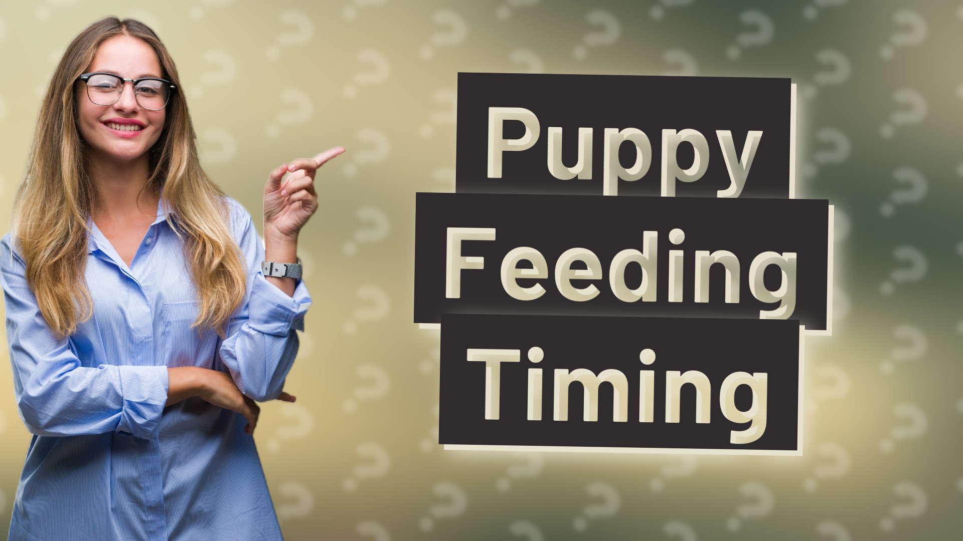 Puppy Feeding Timing