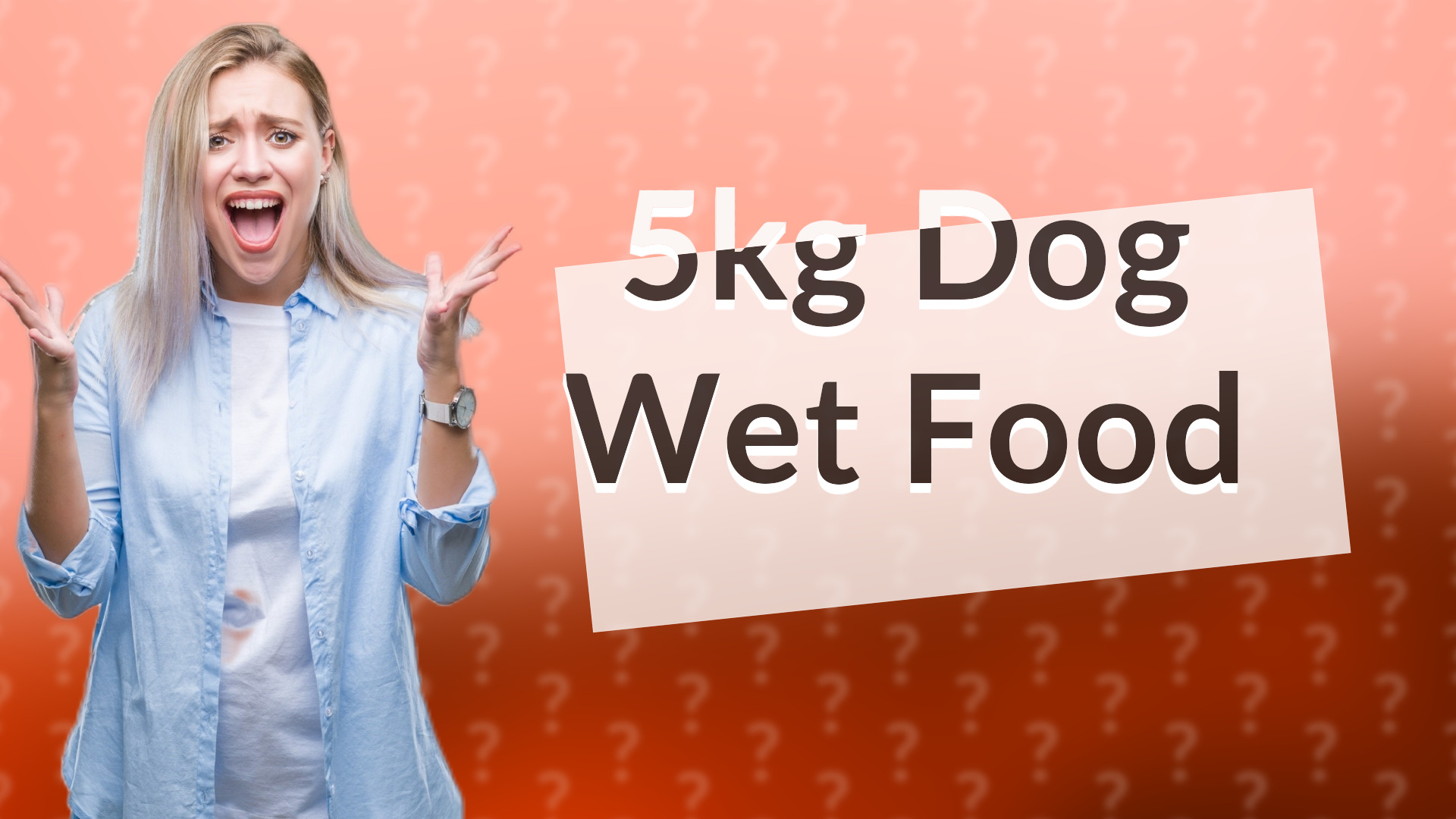 5kg Dog Wet Food