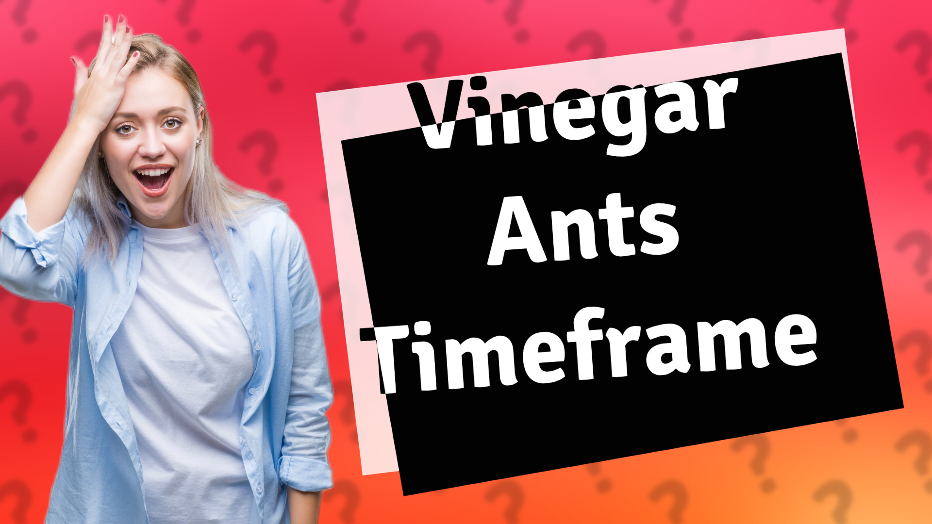 Vinegar Ants Timeframe