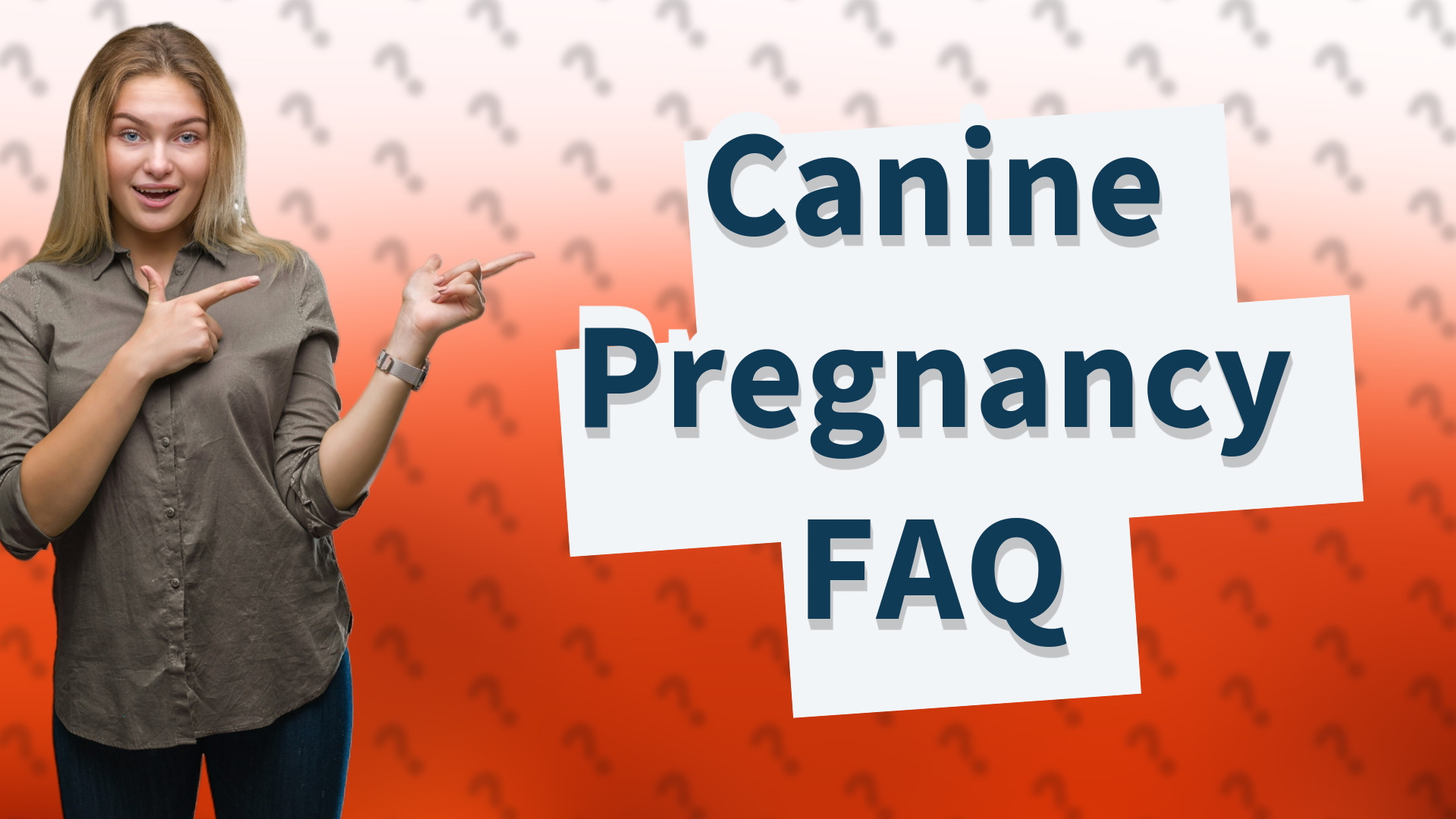 Canine Pregnancy FAQ