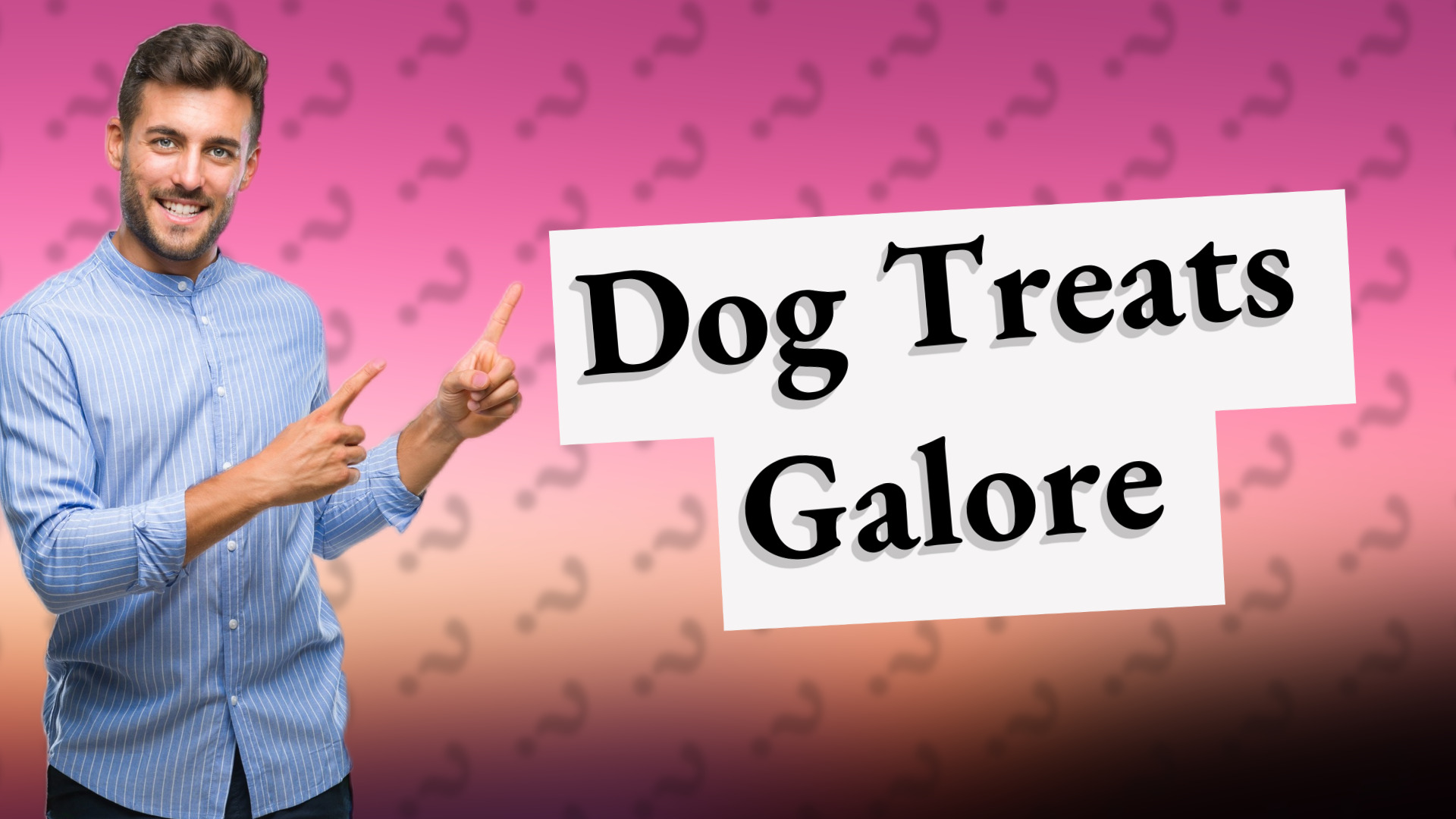 Dog Treats Galore