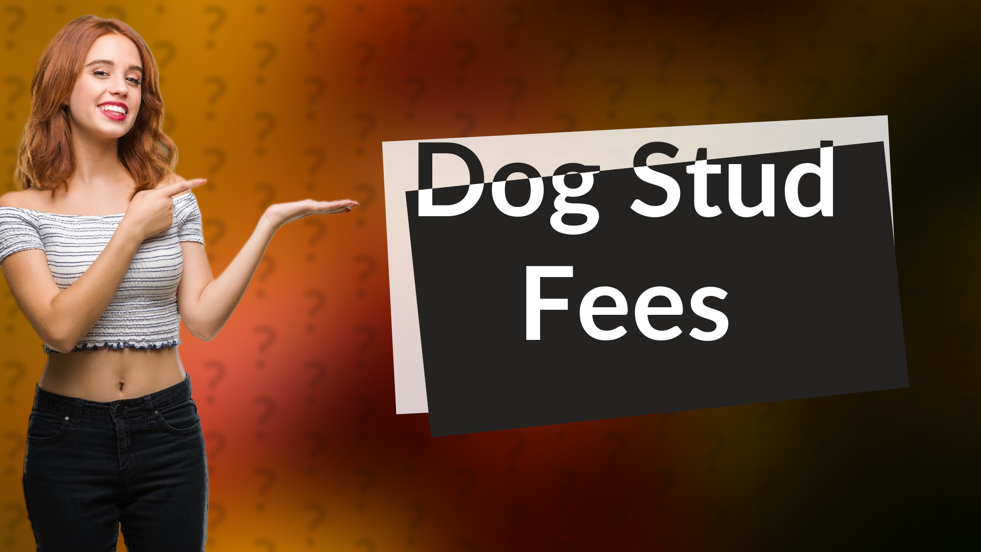 Dog Stud Fees