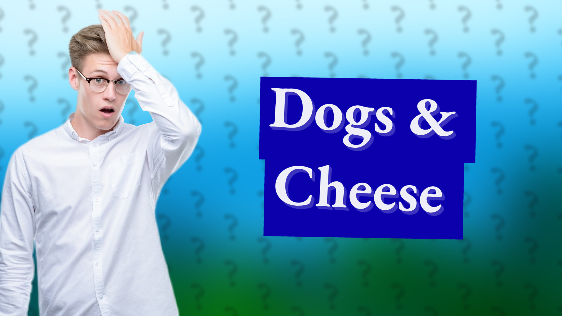 Dogs & Cheese