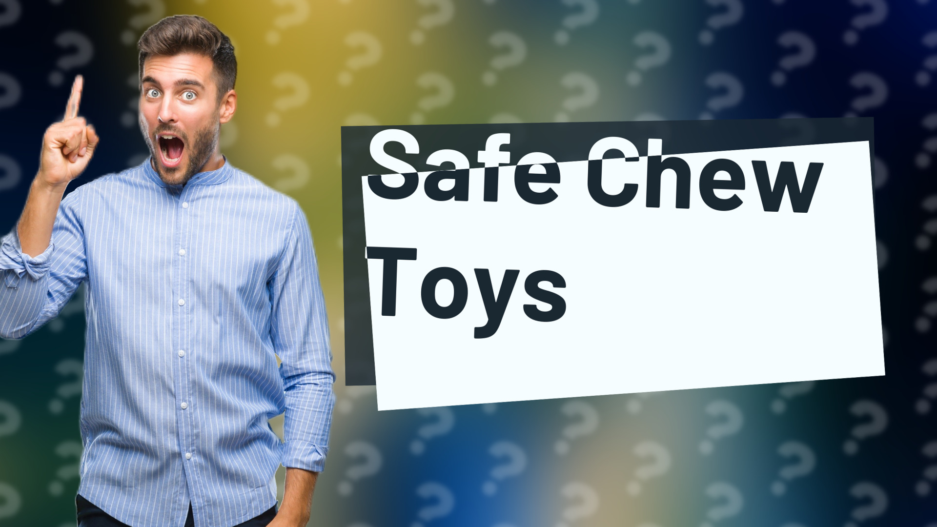 Safe Chew Toys