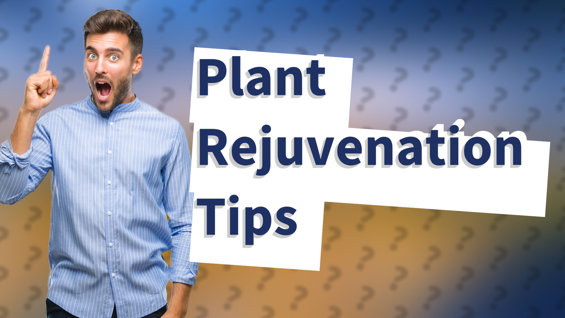 Plant Rejuvenation Tips