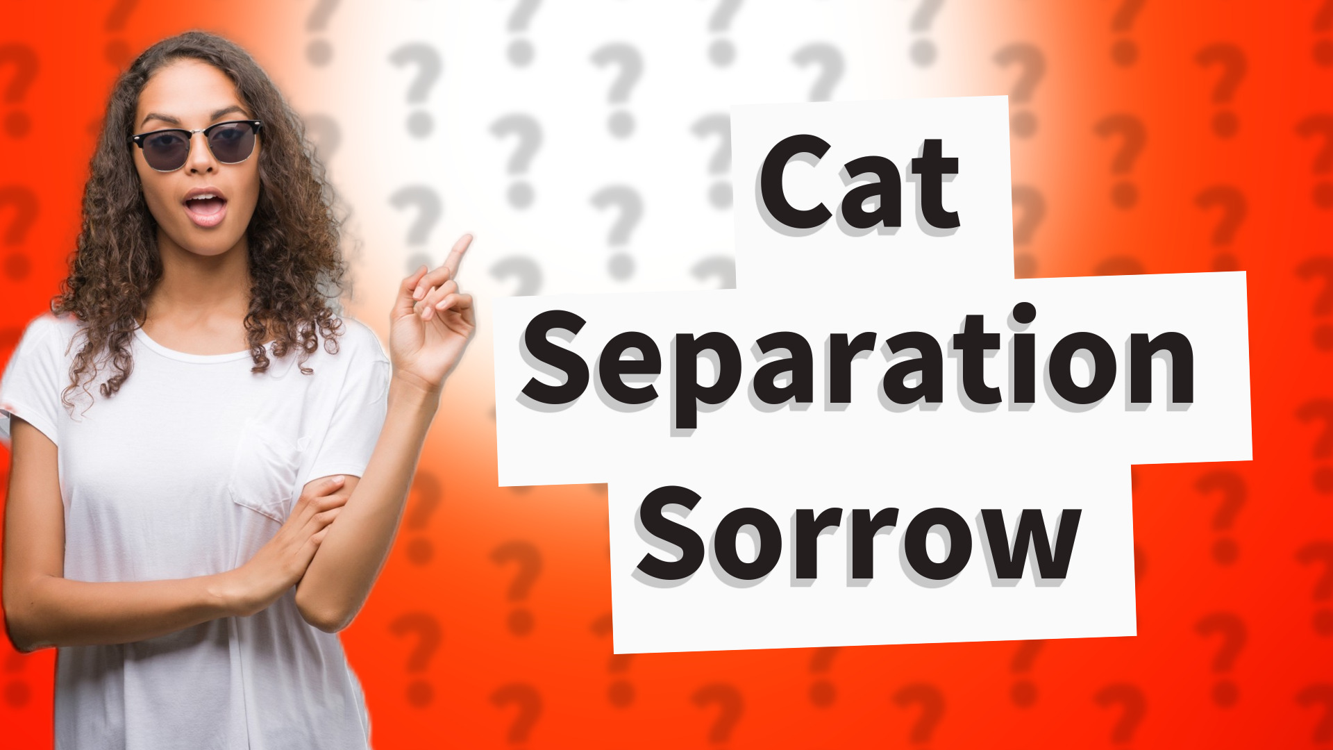Cat Separation Sorrow