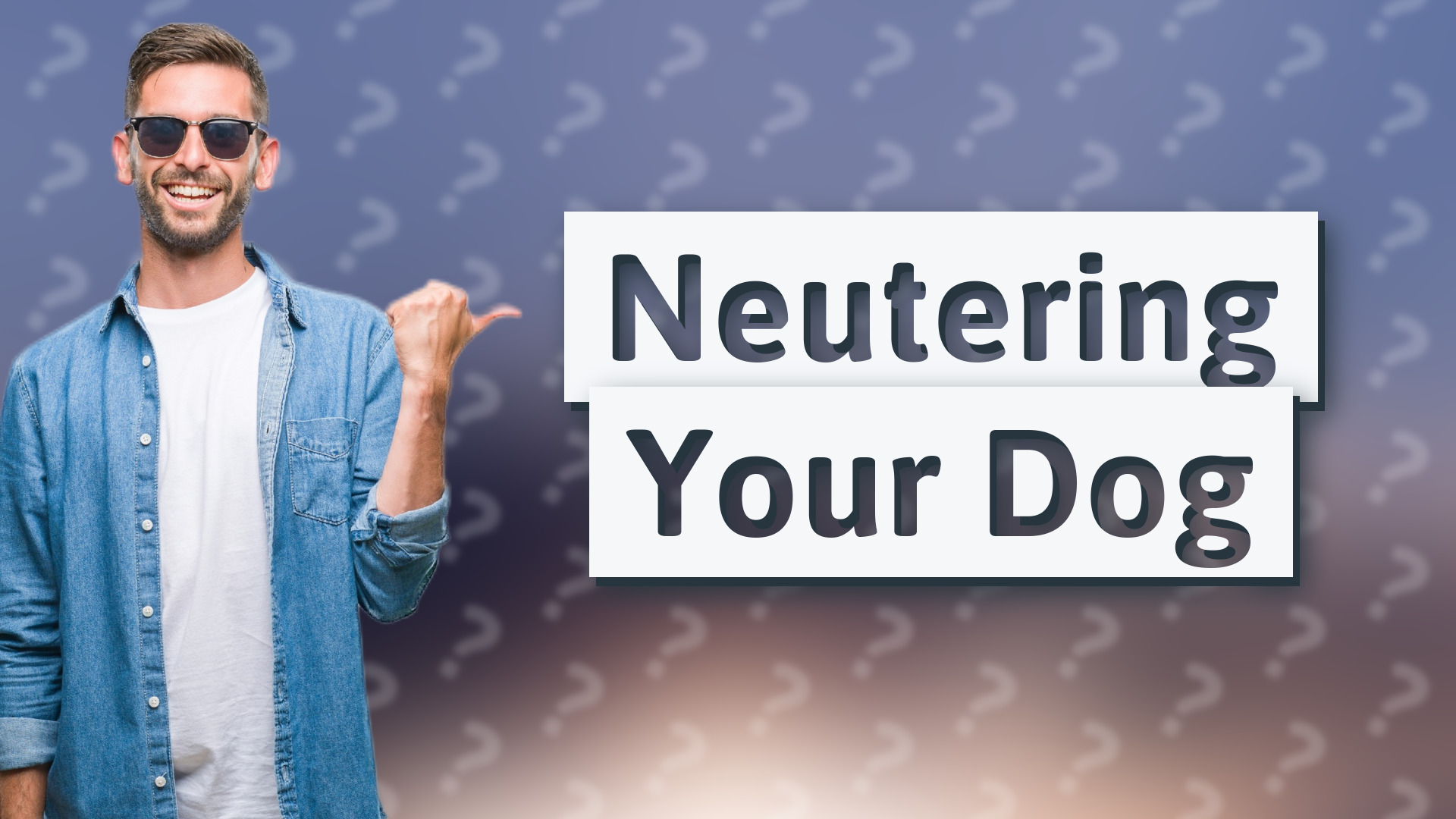 Neutering Your Dog