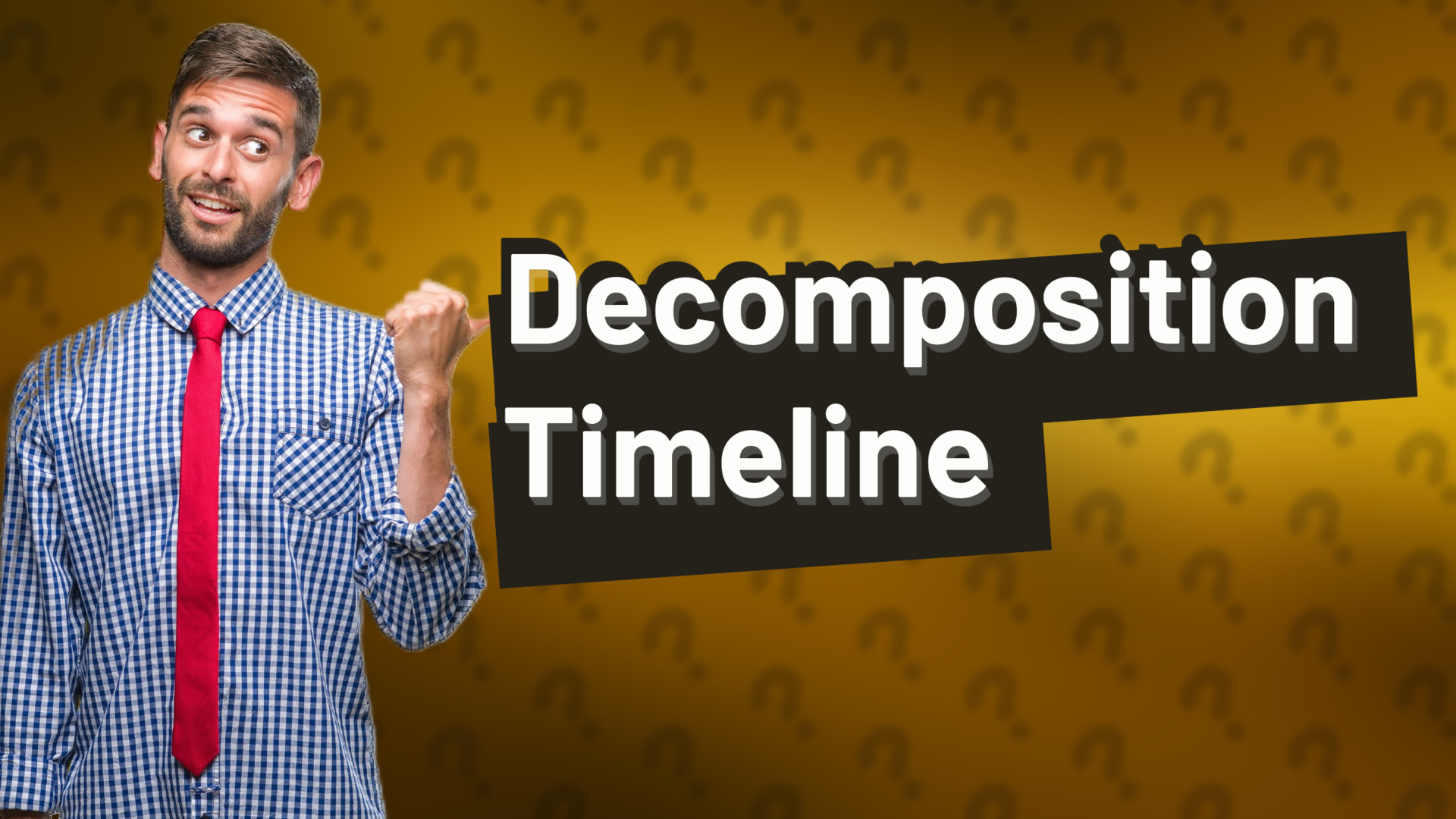 Decomposition Timeline