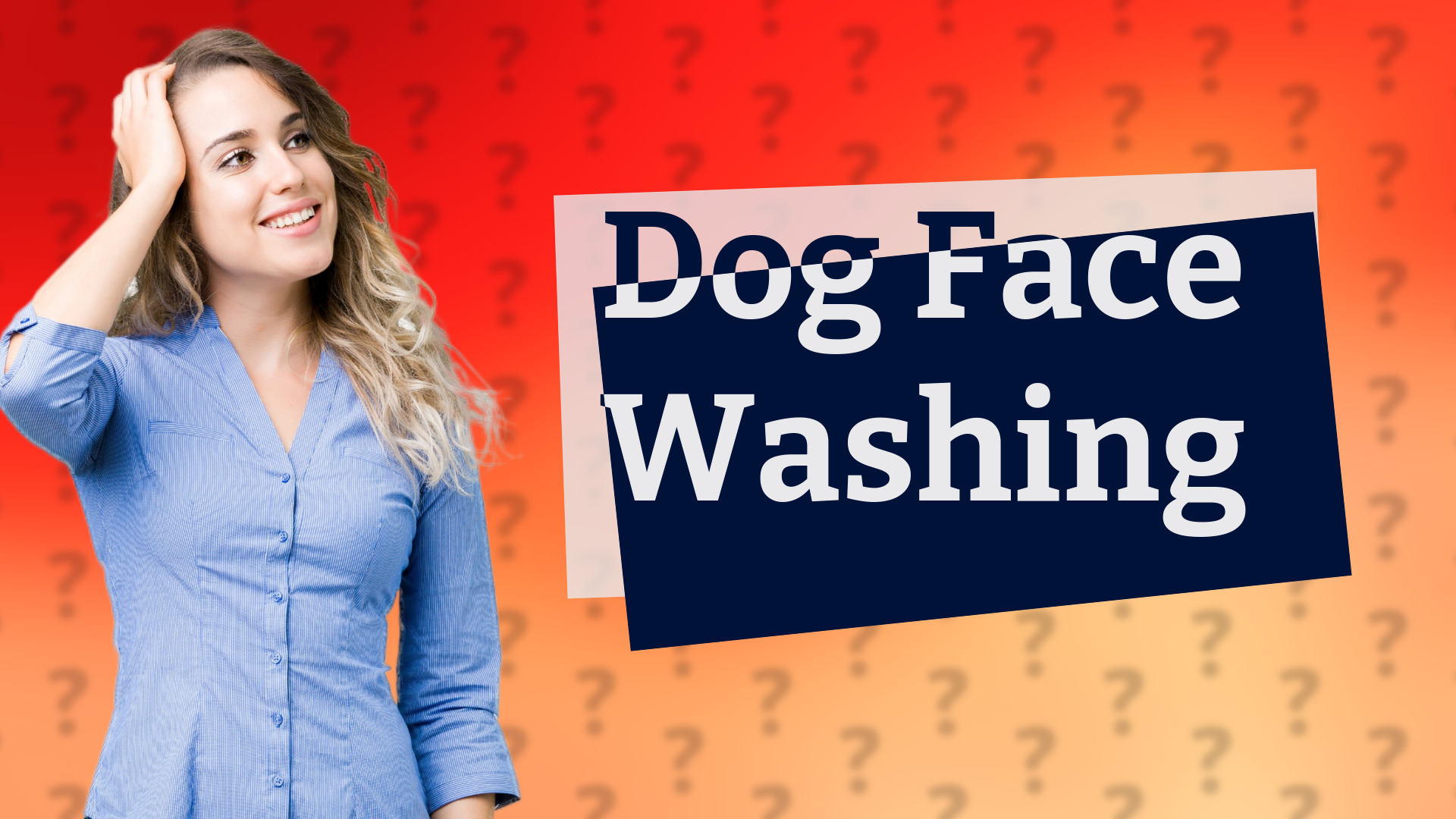 Dog Face Washing