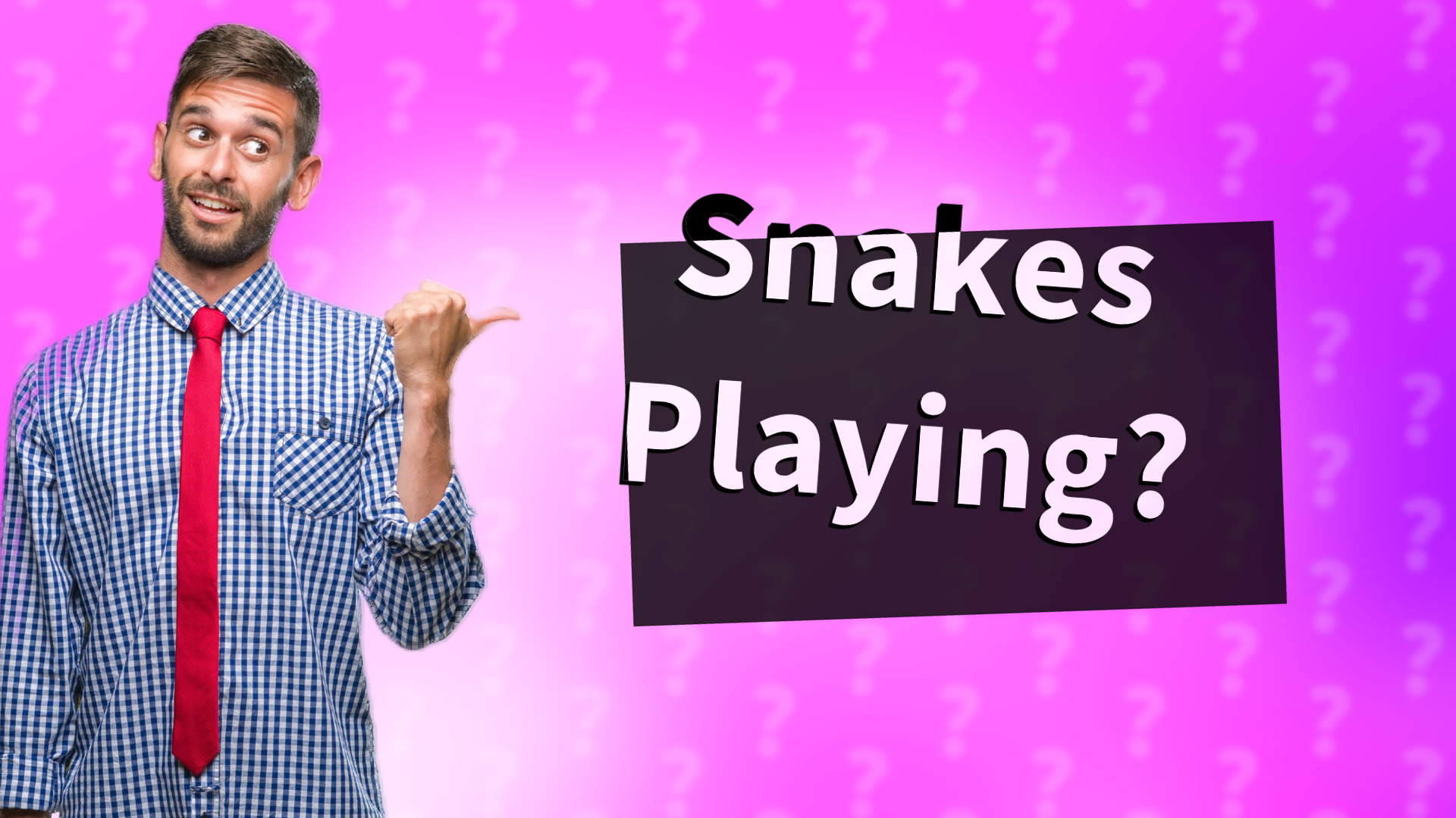 Snakes Playing?