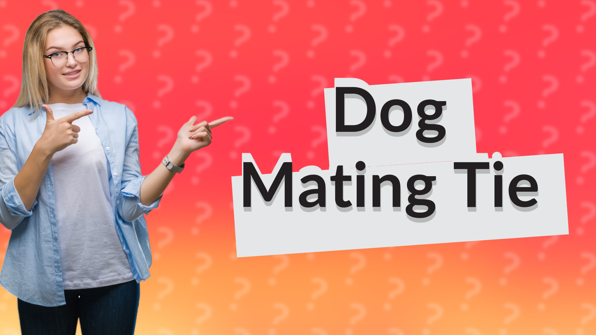 Dog Mating Tie