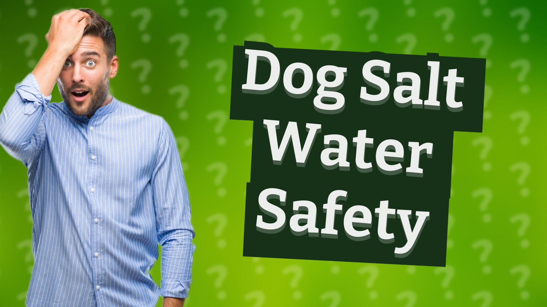 Dog Salt Water Safety