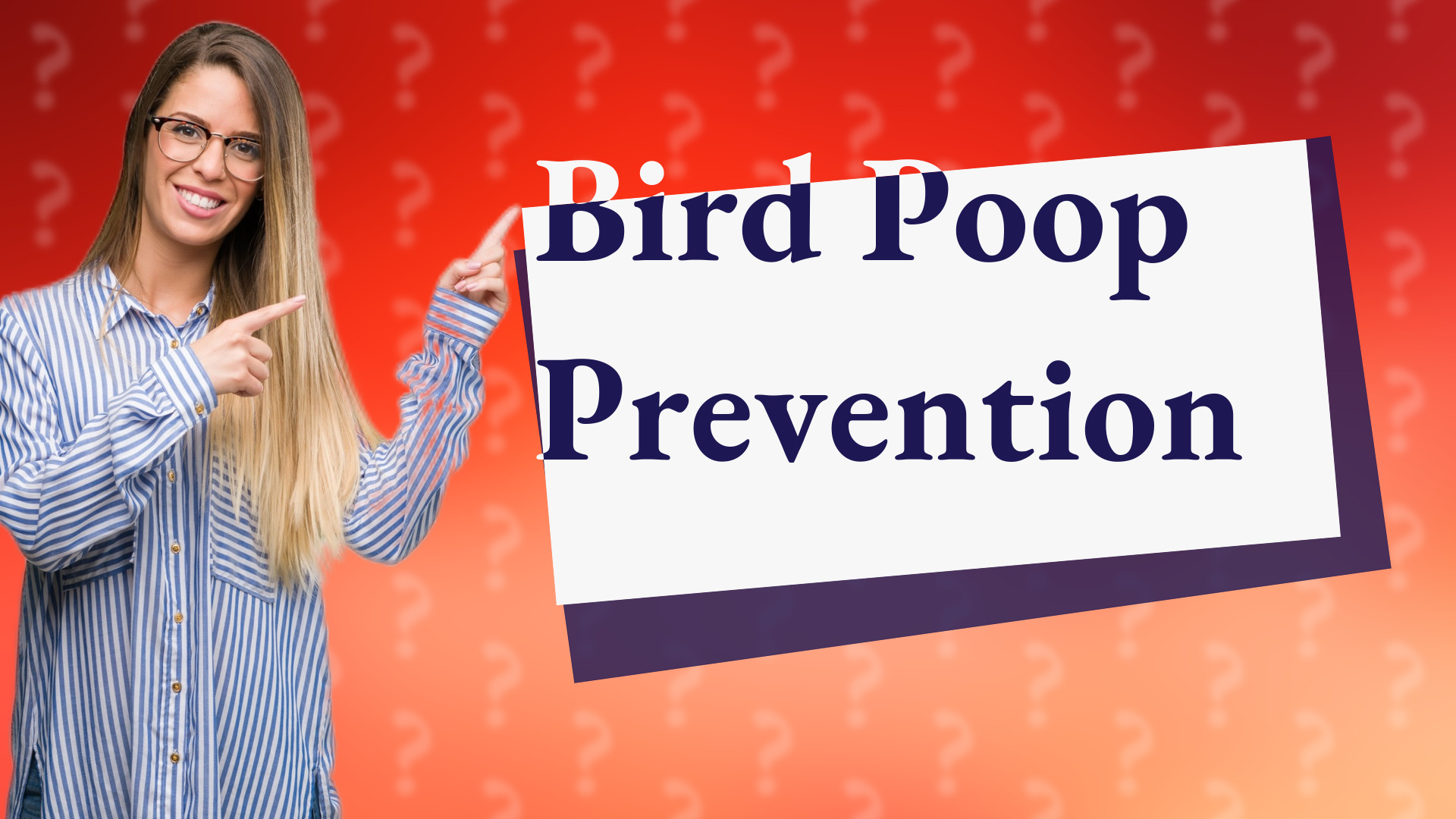 Bird Poop Prevention