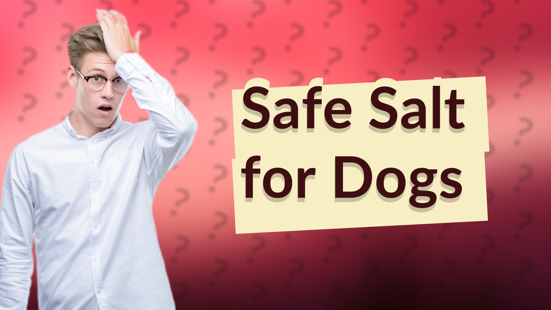 Safe Salt for Dogs