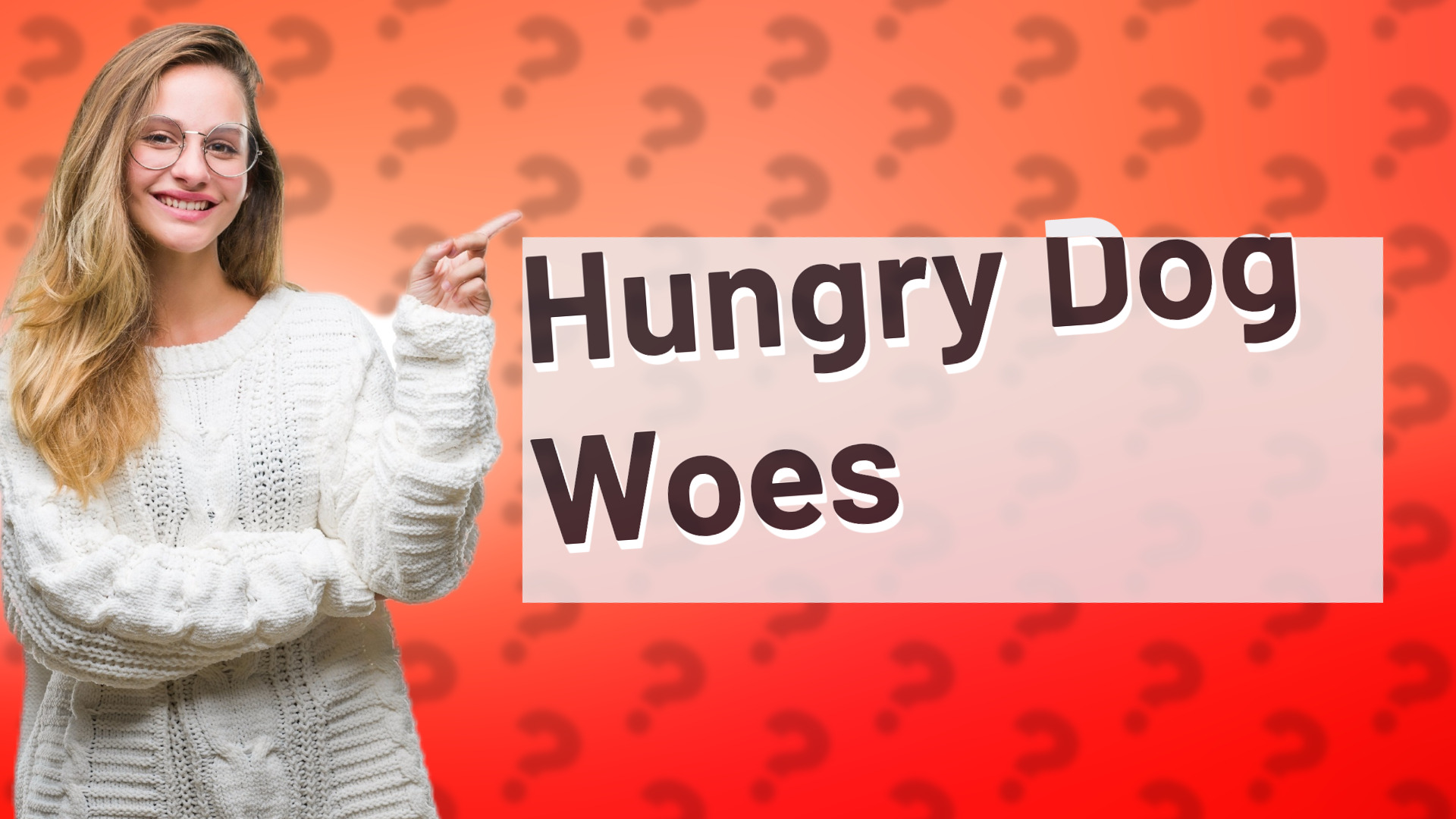 Hungry Dog Woes