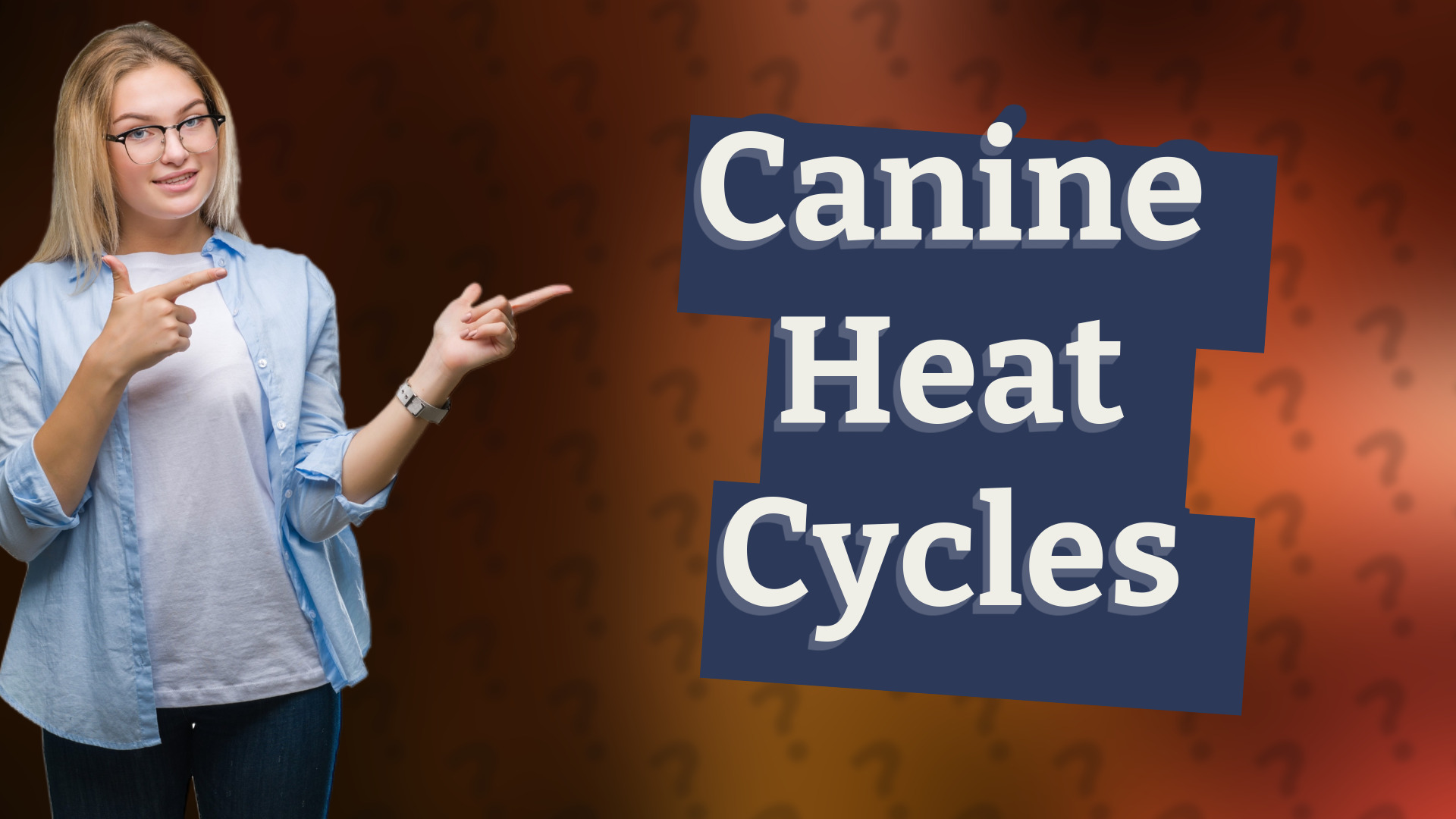 Canine Heat Cycles