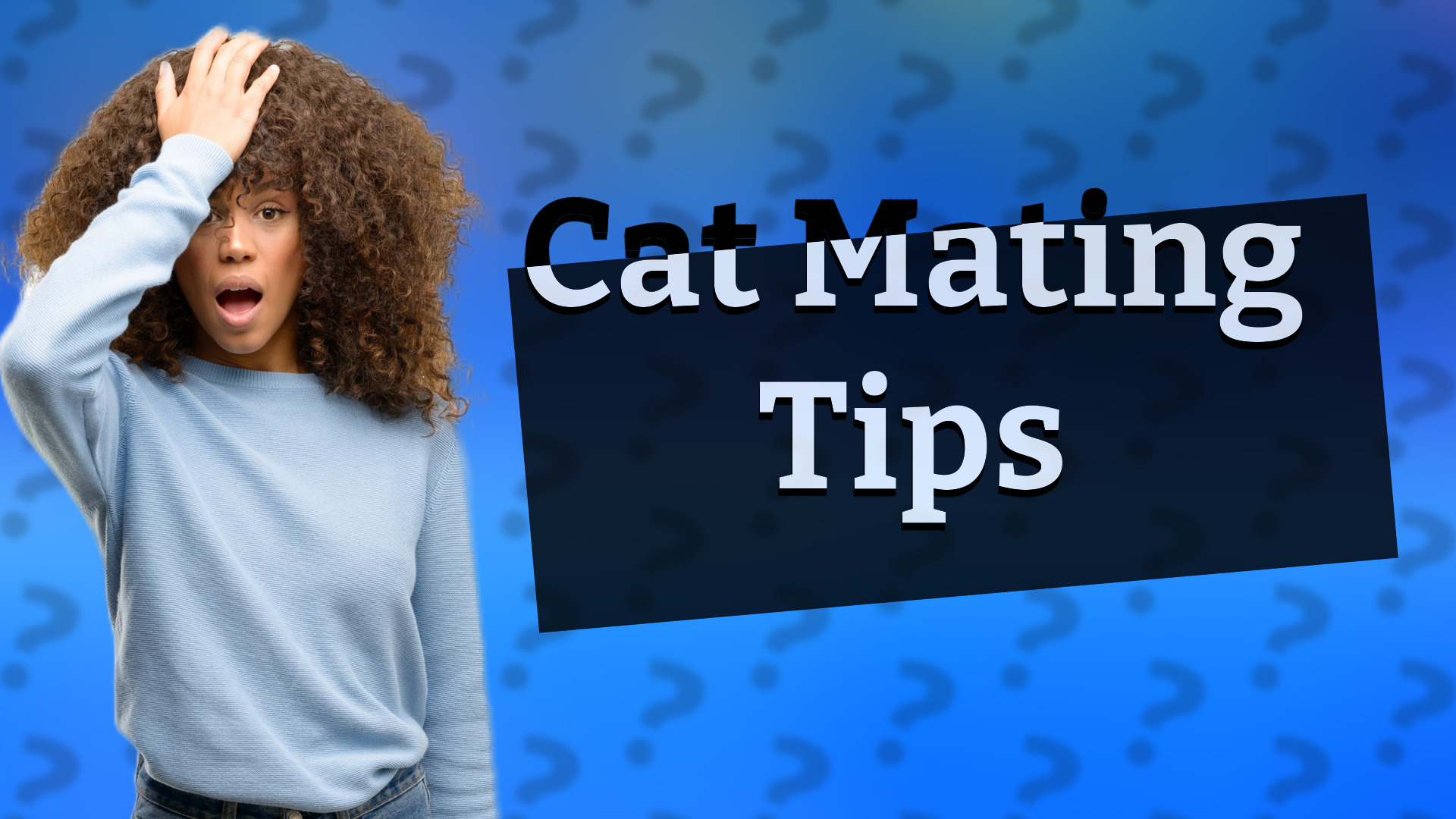 Cat Mating Tips