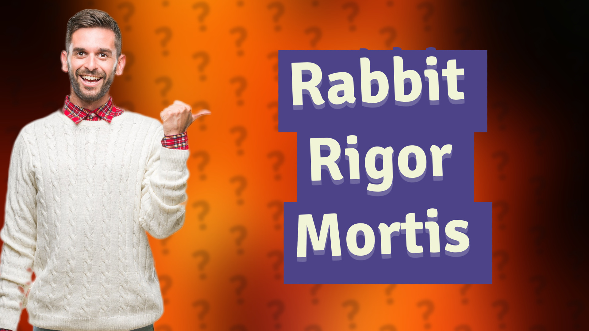 Rabbit Rigor Mortis