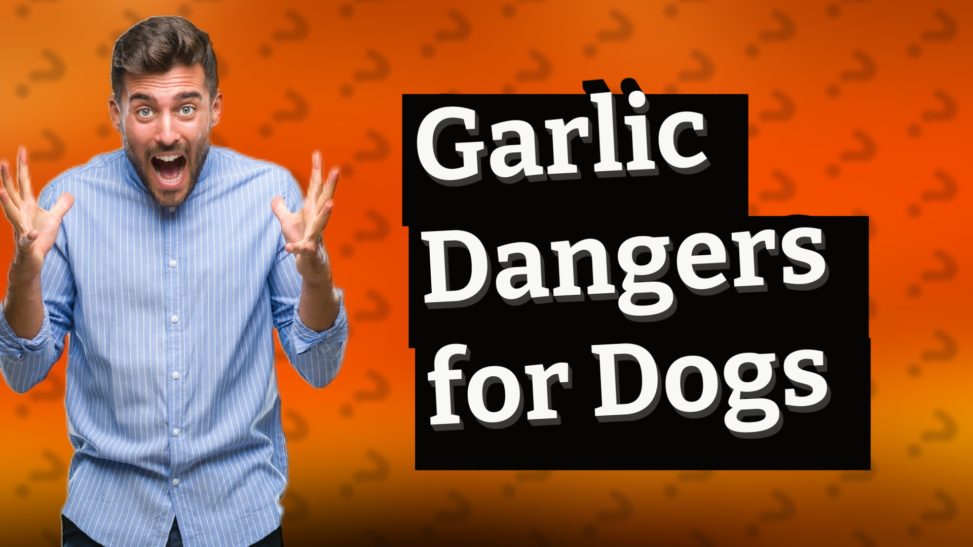 Garlic Dangers for Dogs