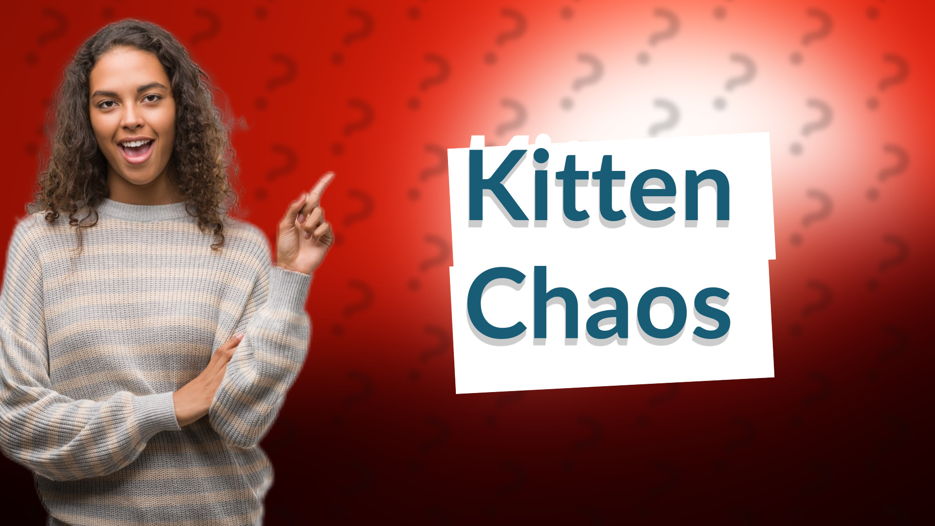 Kitten Chaos