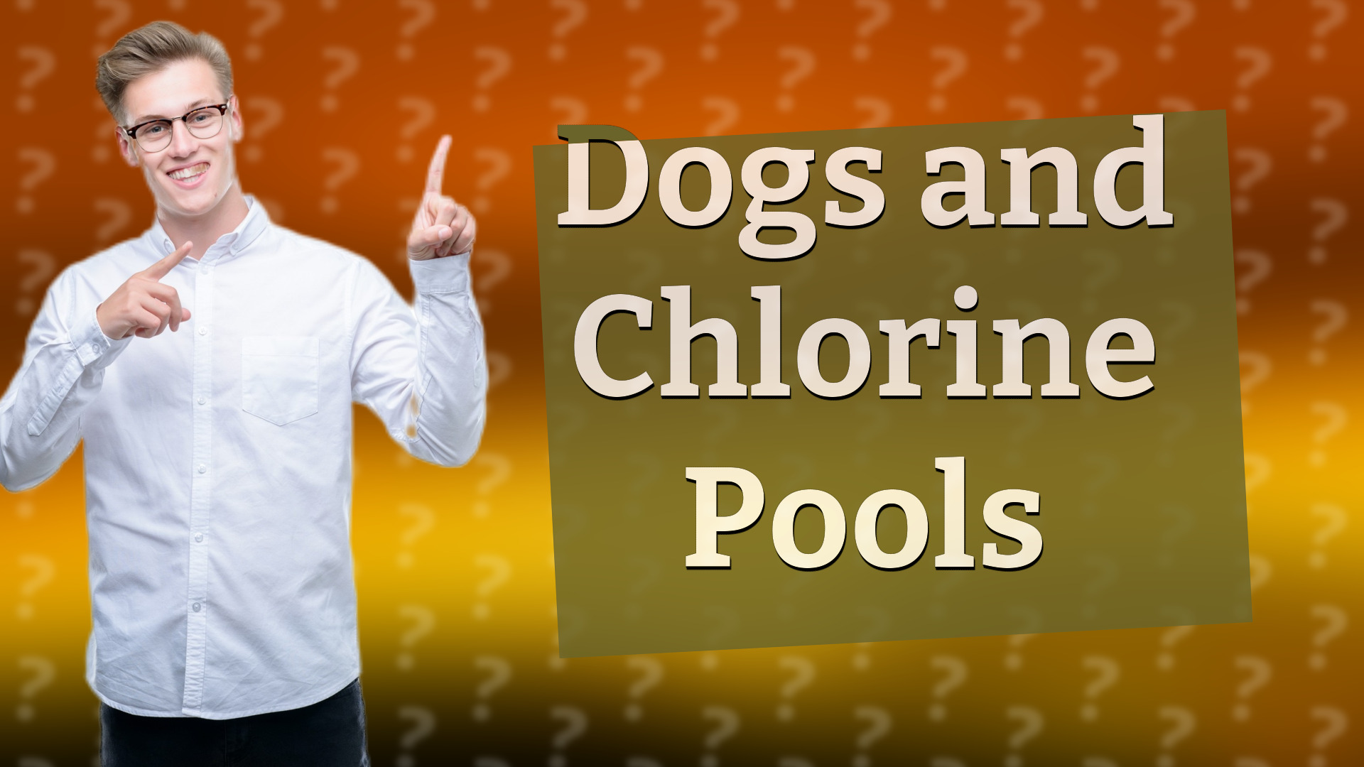 Dogs and Chlorine Pools