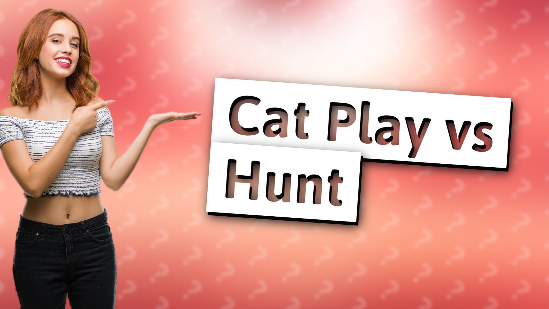 Cat Play vs Hunt