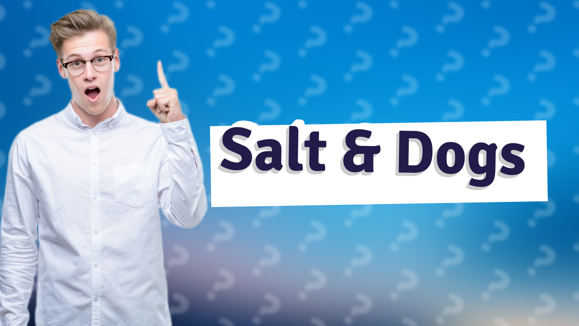 Salt & Dogs