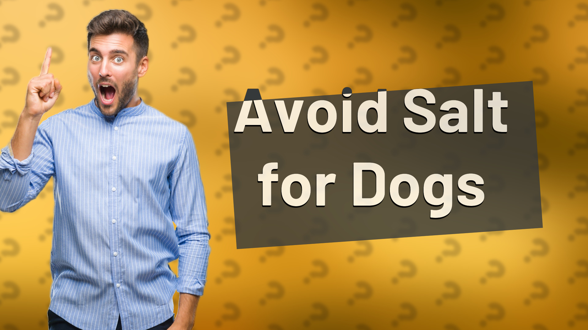 Avoid Salt for Dogs