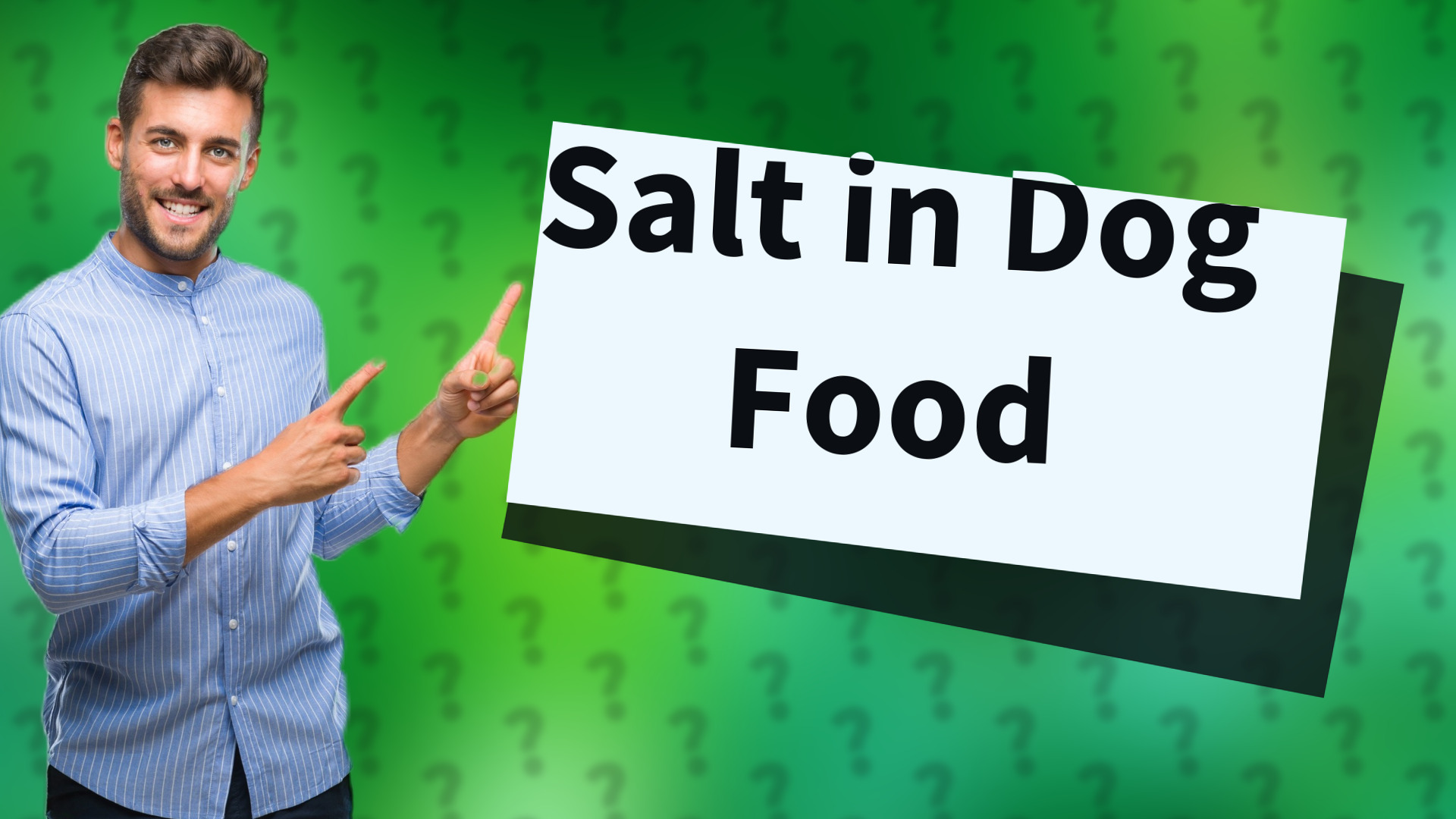 Salt in Dog Food
